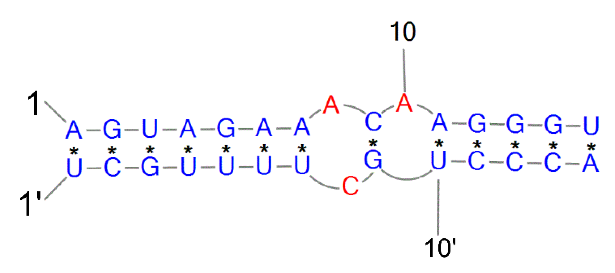 Ijms 24 01232 g004 Ijms 24 01232 g004
