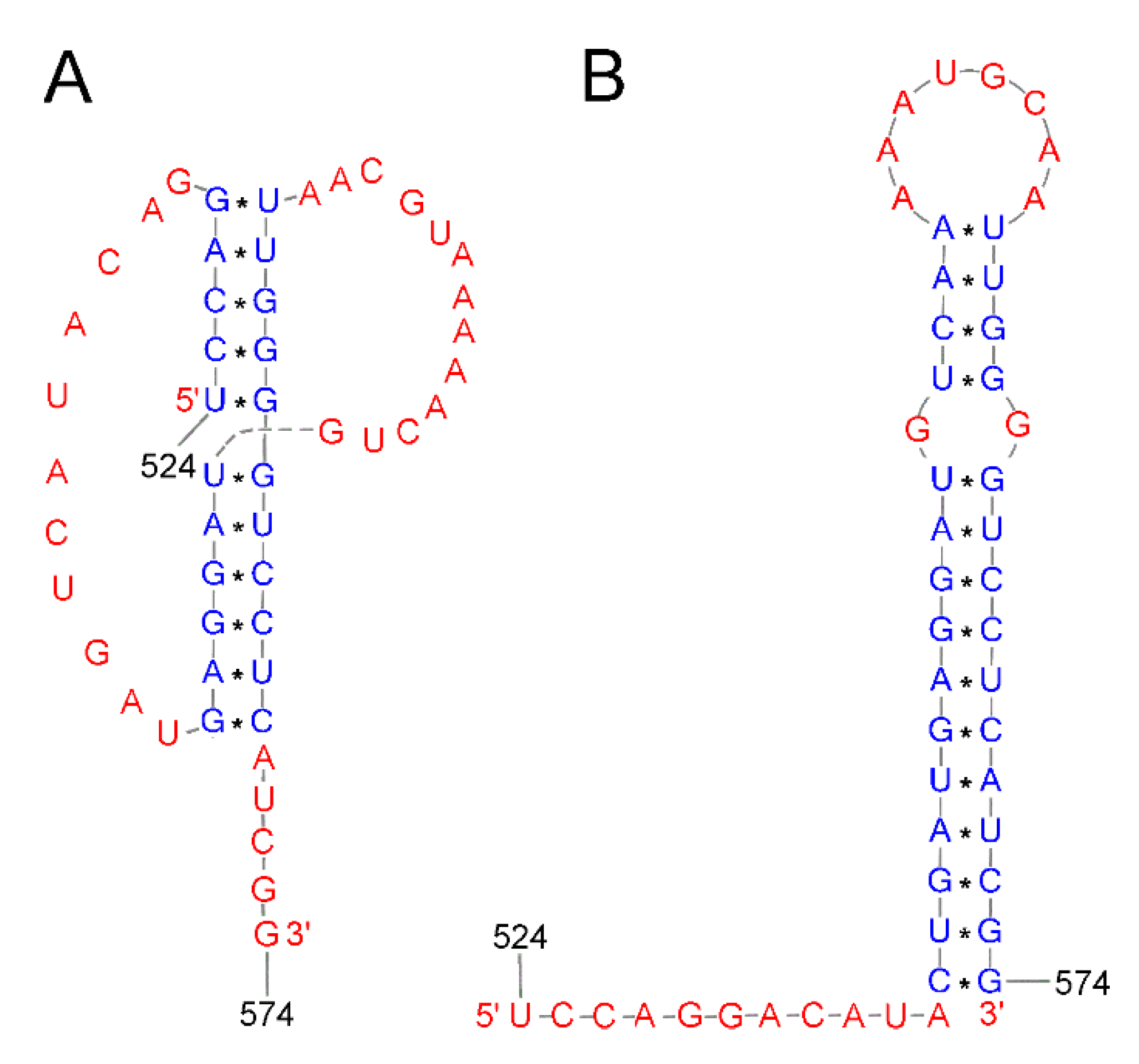 Ijms 24 01232 g005 Ijms 24 01232 g005