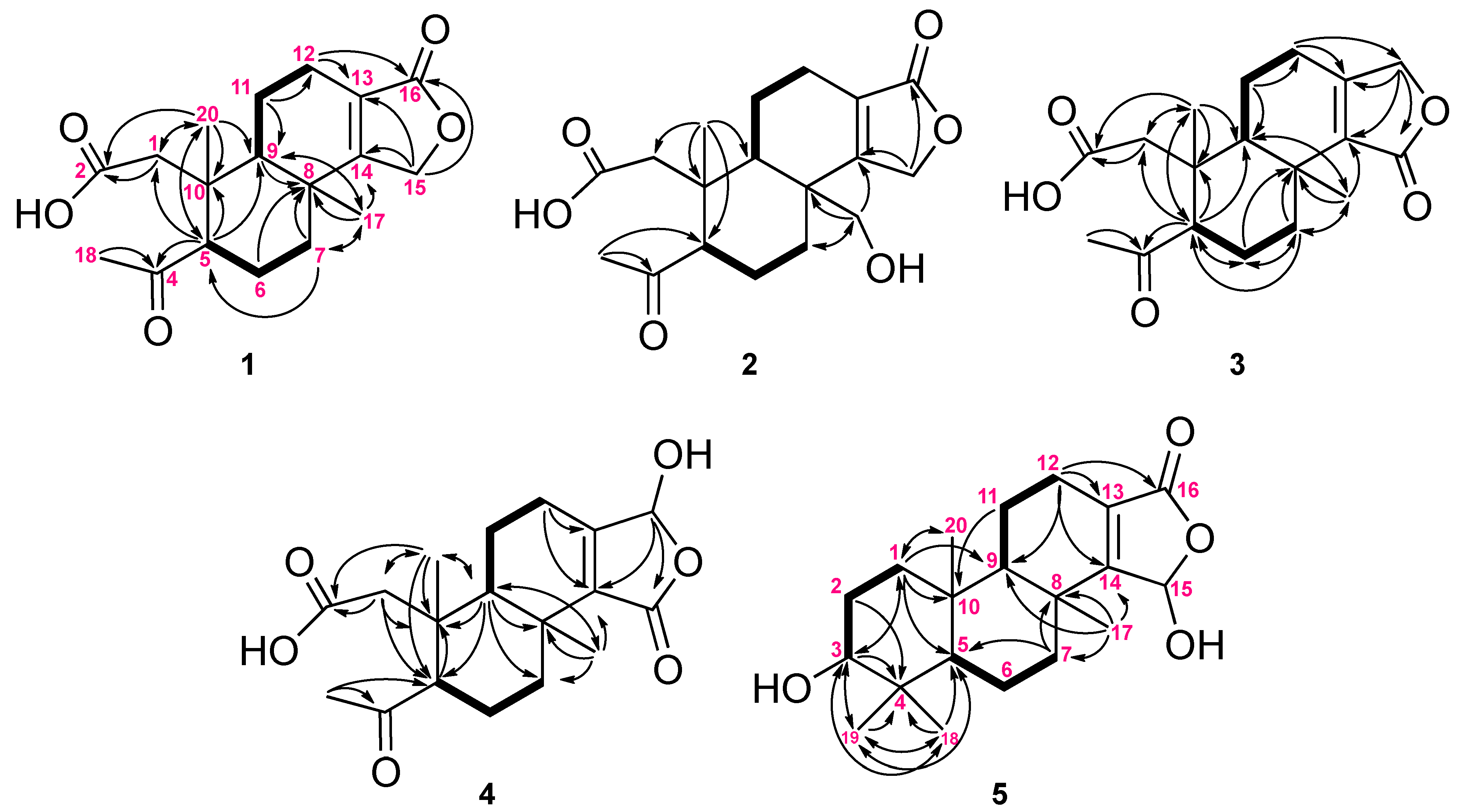 Ijms 24 01252 g002 Ijms 24 01252 g002