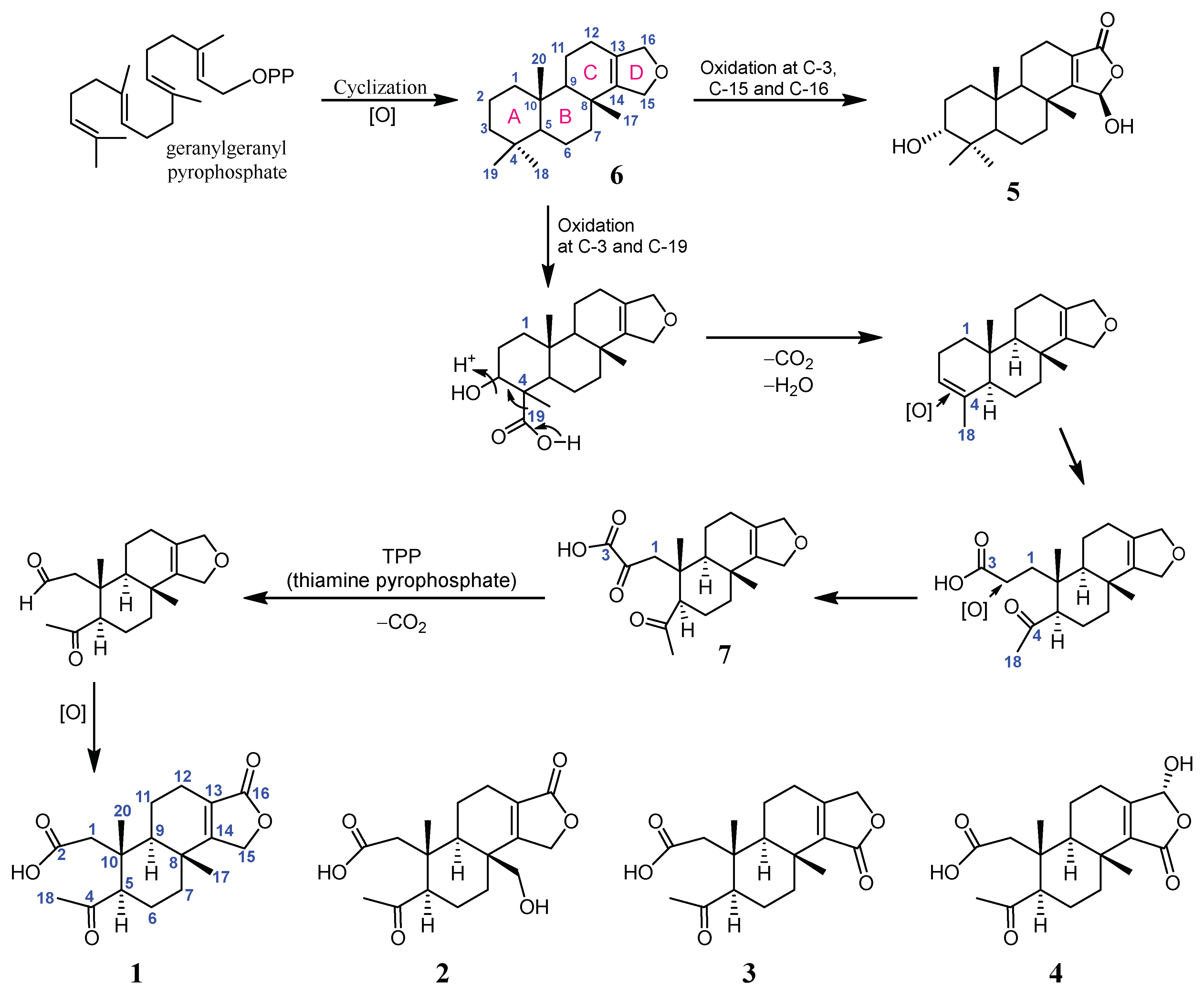 Ijms 24 01252 sch001 Ijms 24 01252 sch001