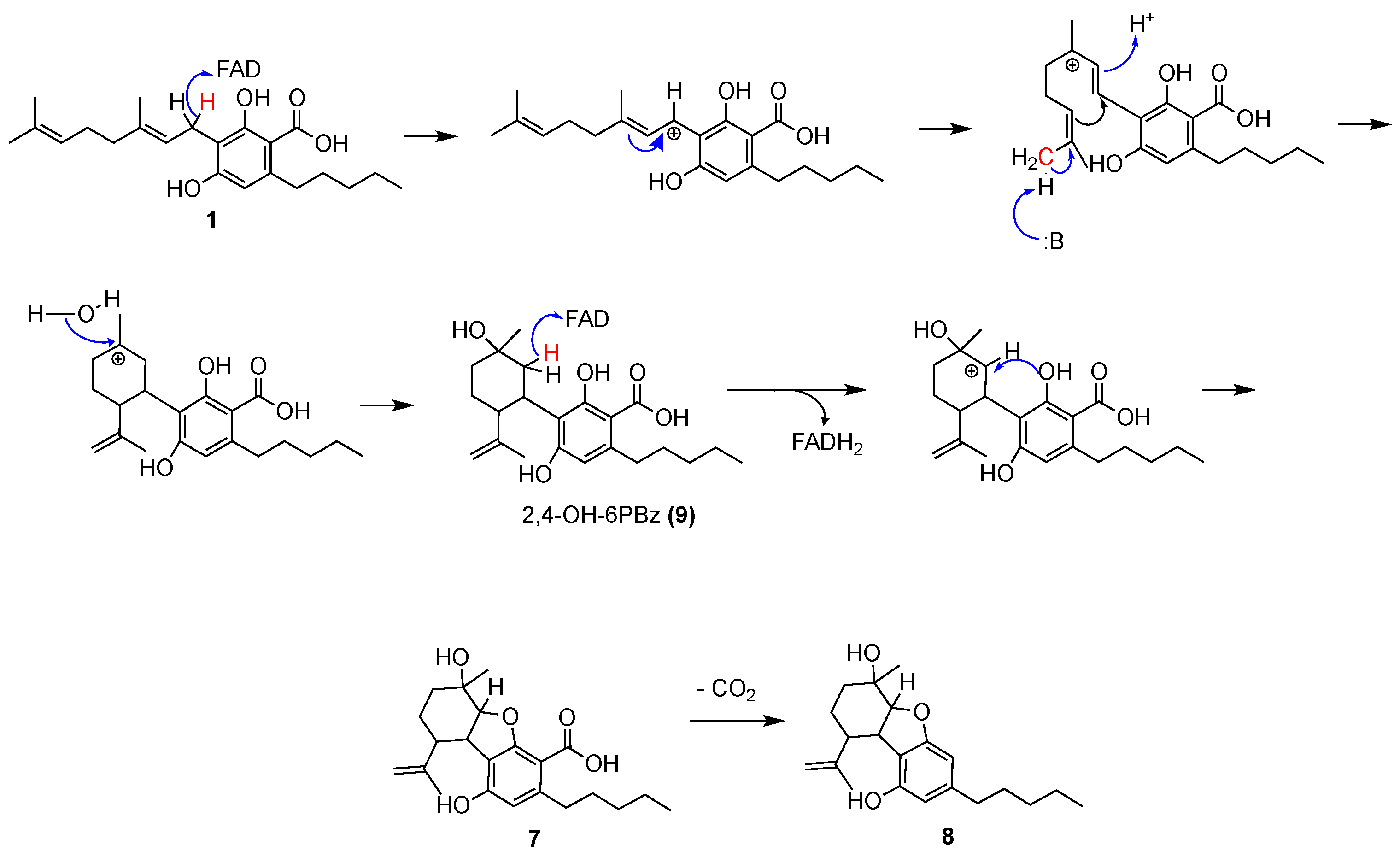 IJMS | Free Full-Text | Cannabinoid Biosynthesis Using Noncanonical ...