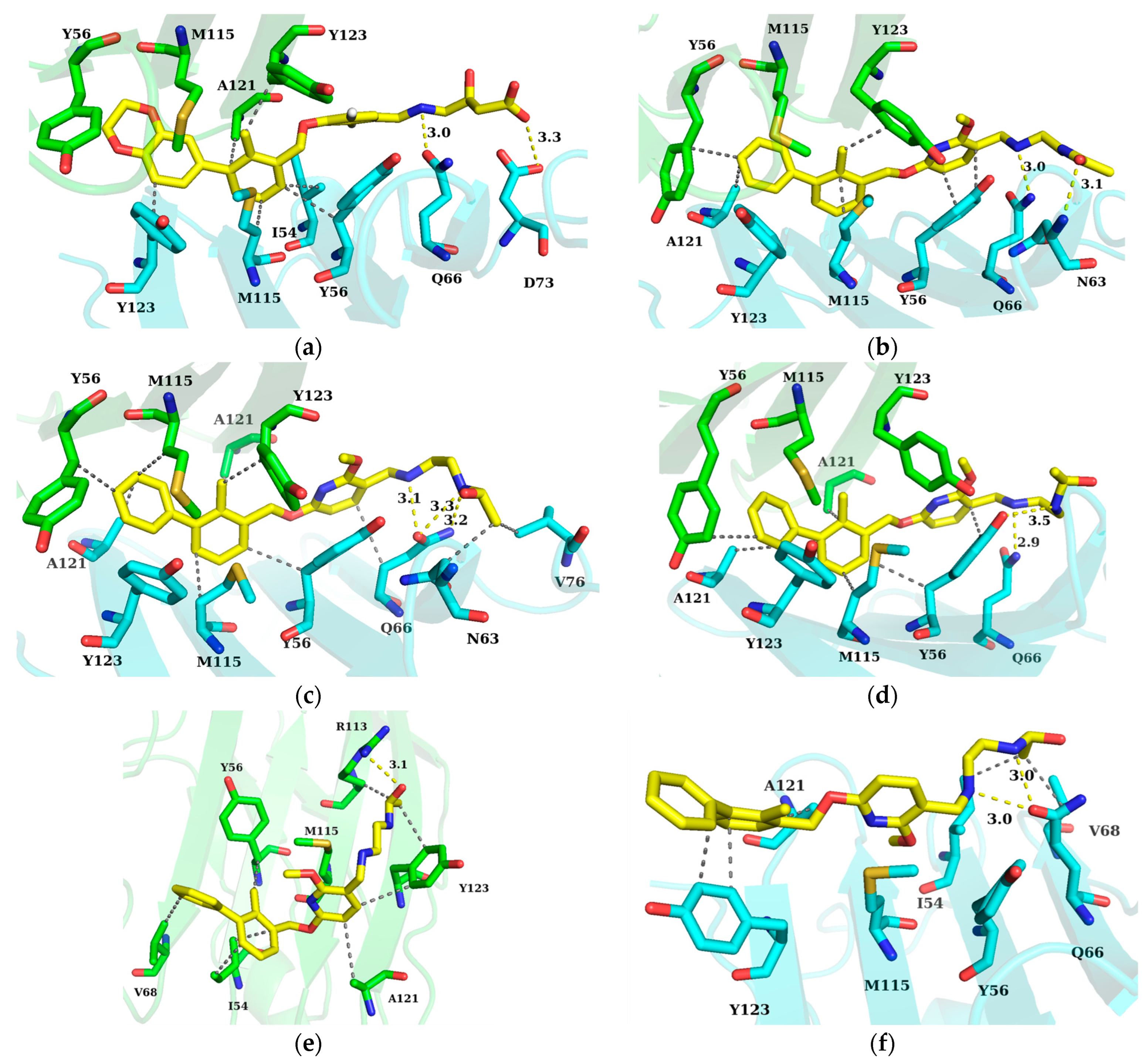 Ijms 24 01280 g007 Ijms 24 01280 g007