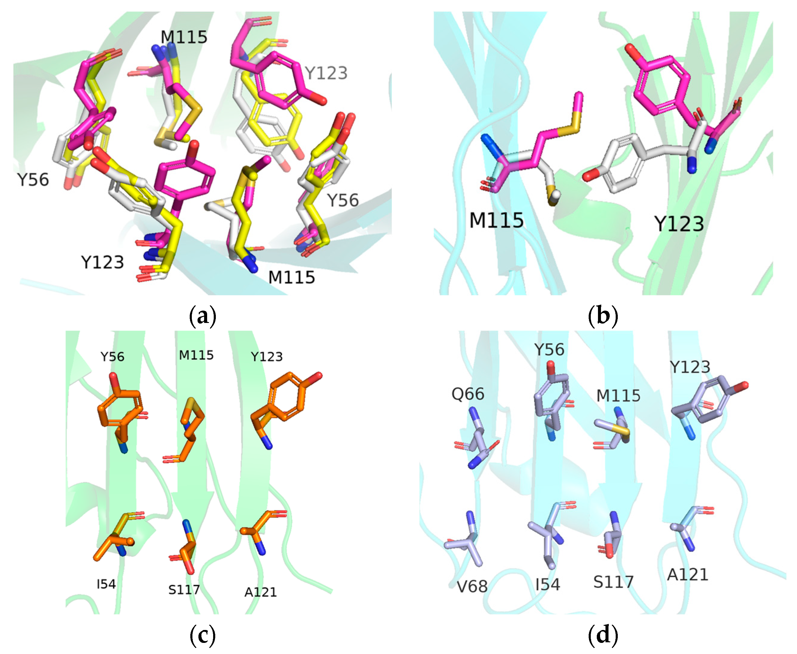 Ijms 24 01280 g011 Ijms 24 01280 g011