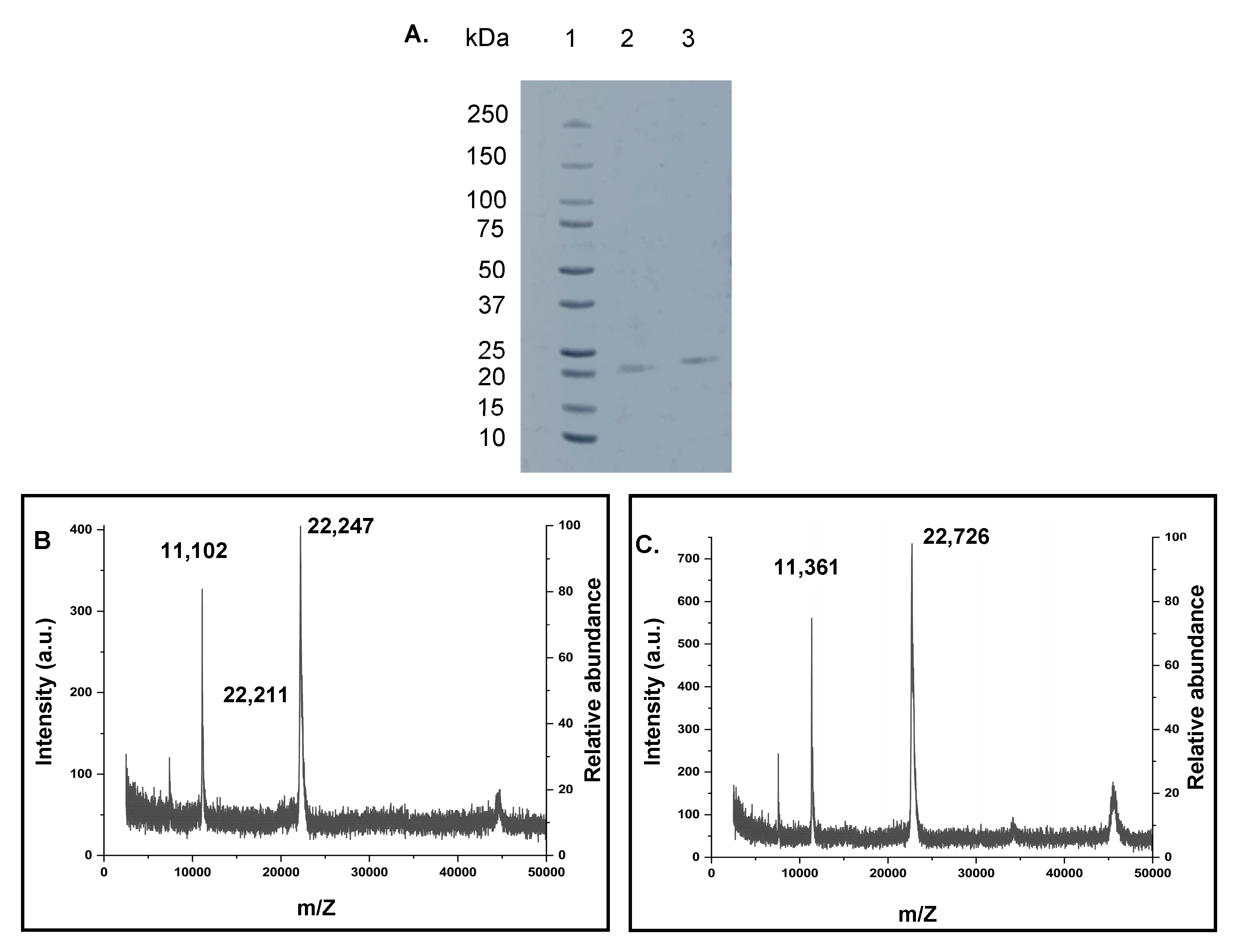 Ijms 24 01281 g002 Ijms 24 01281 g002