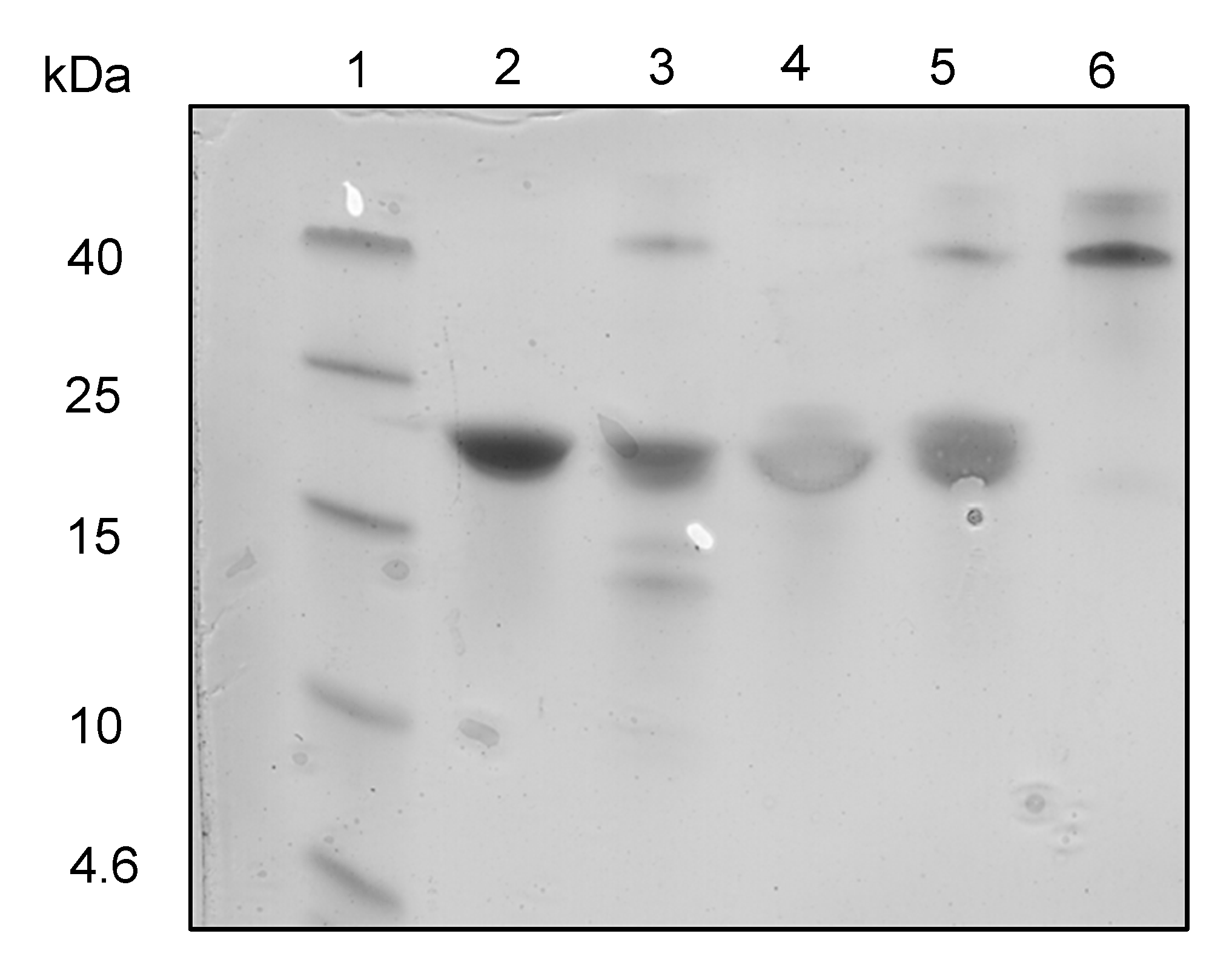 Ijms 24 01281 g005 Ijms 24 01281 g005