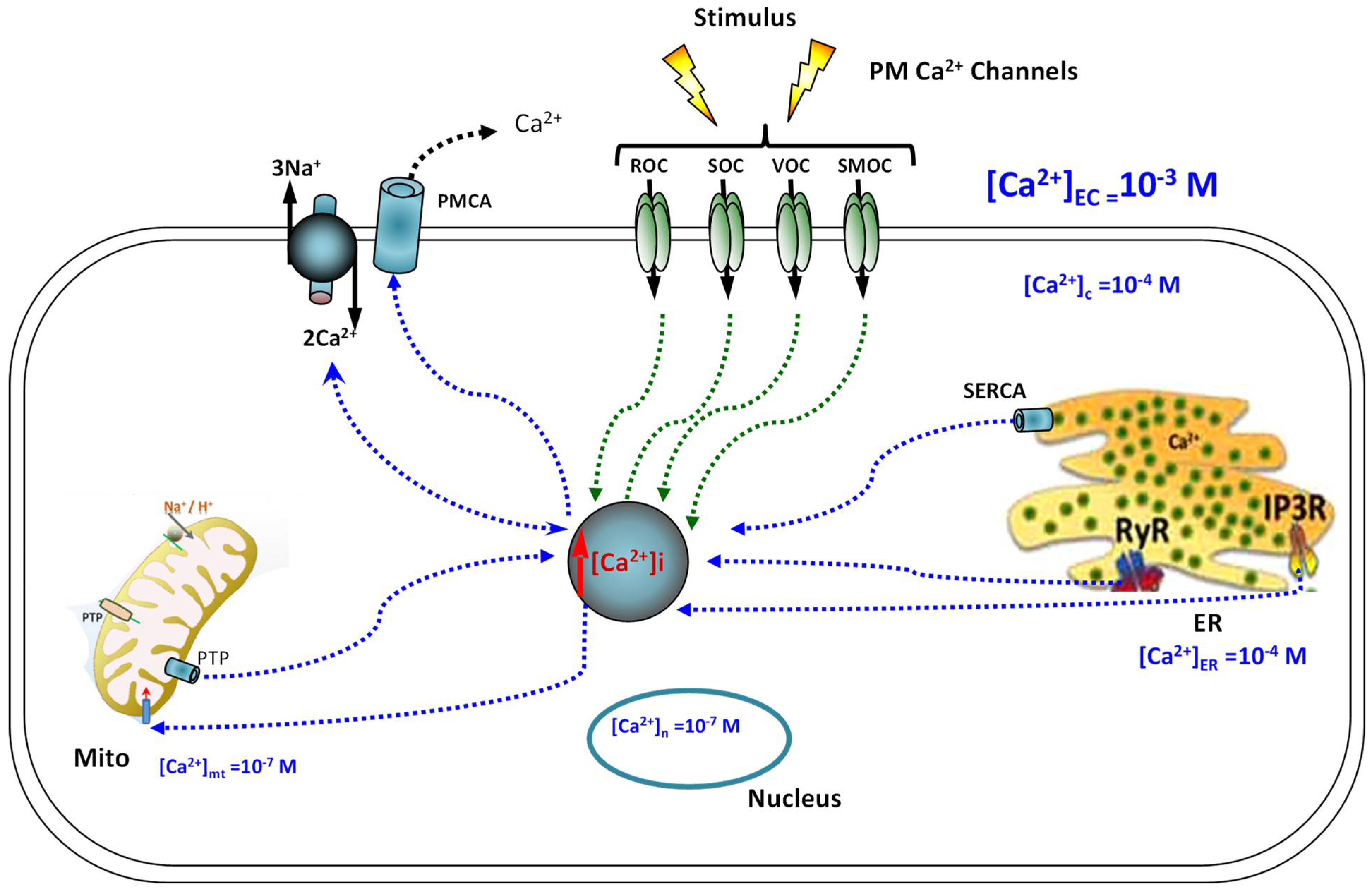 Ijms 24 01287 g002 Ijms 24 01287 g002