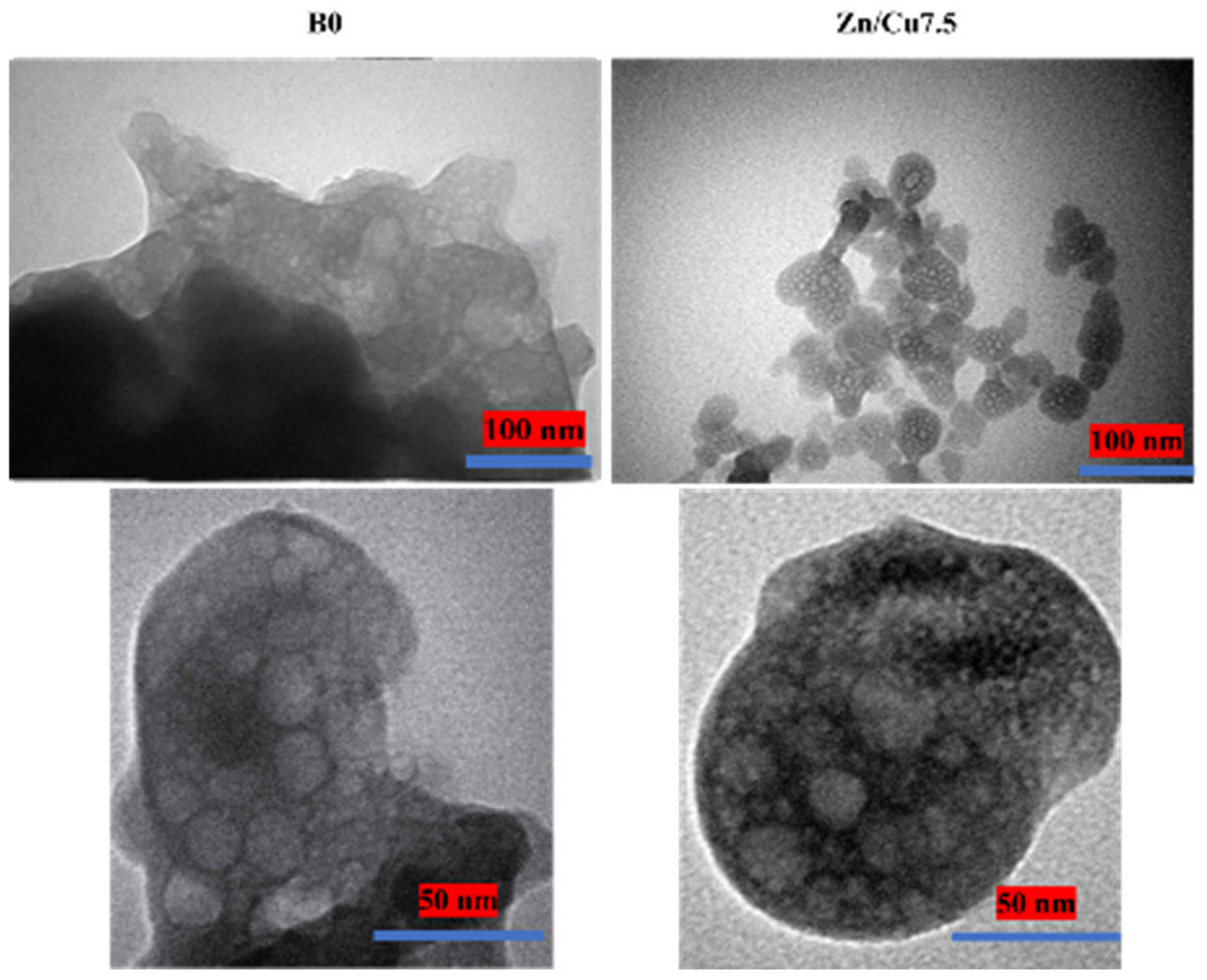 Ijms 24 01304 g003 Ijms 24 01304 g003