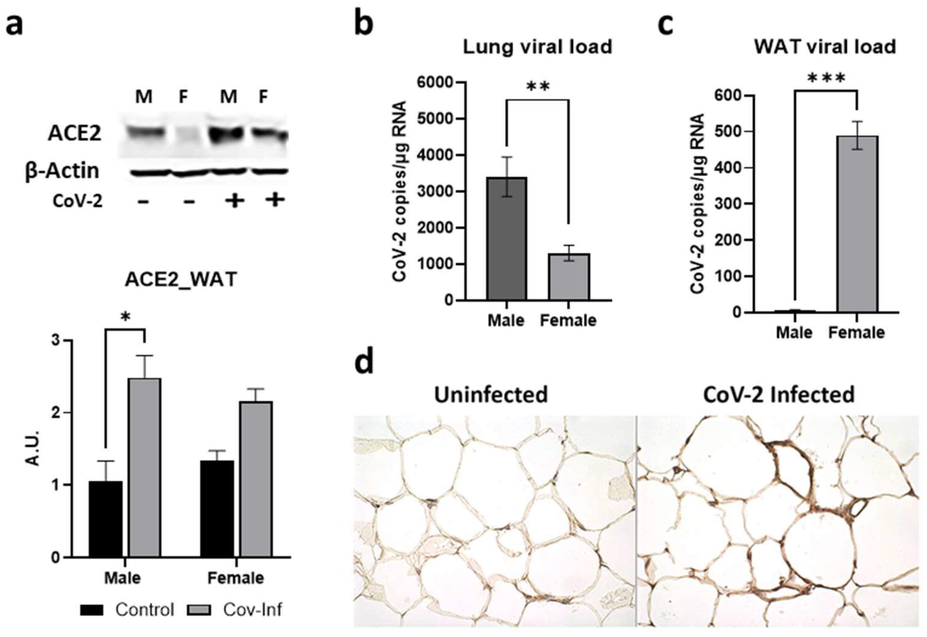 Ijms 24 01314 g002 Ijms 24 01314 g002