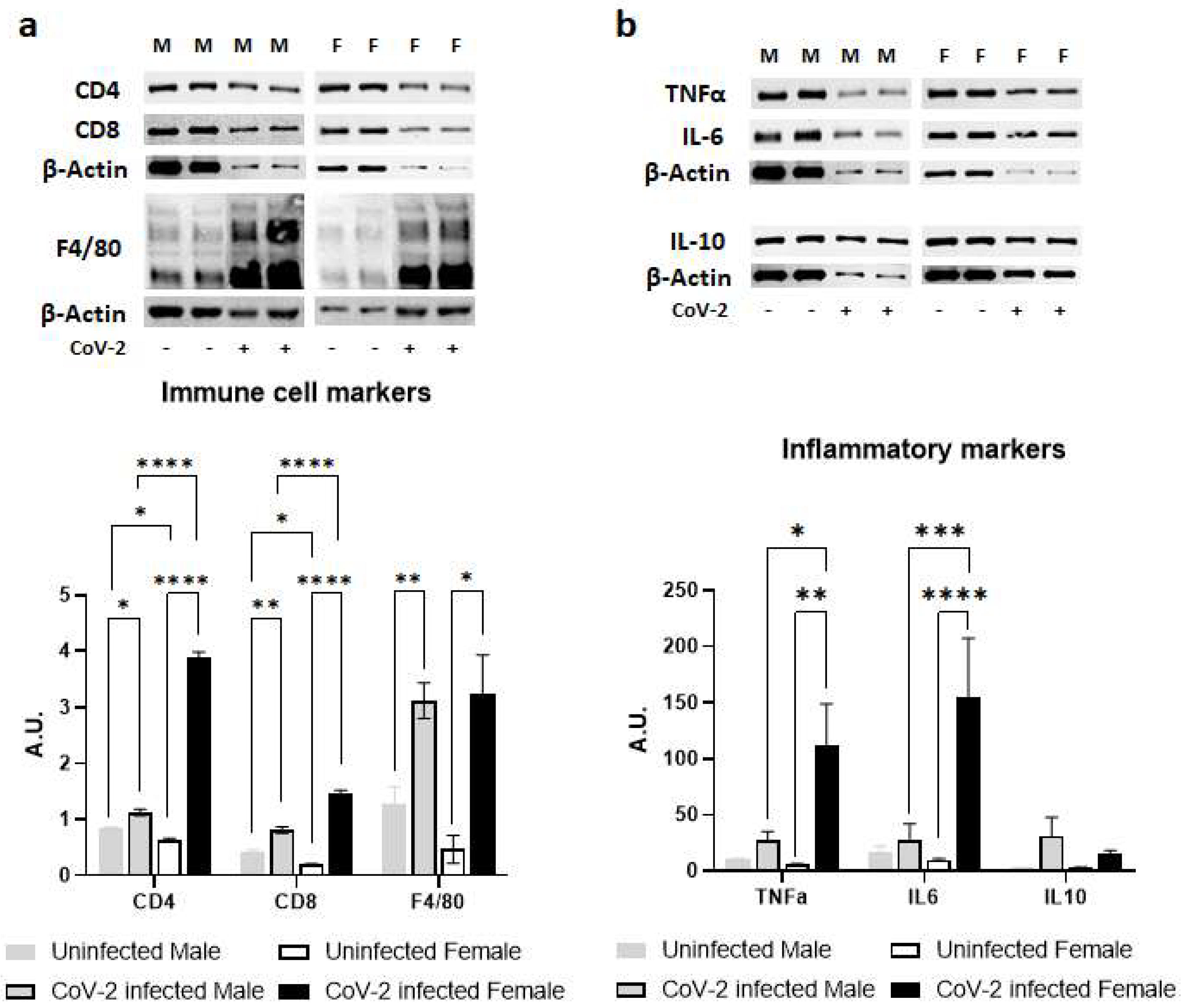 Ijms 24 01314 g003 Ijms 24 01314 g003