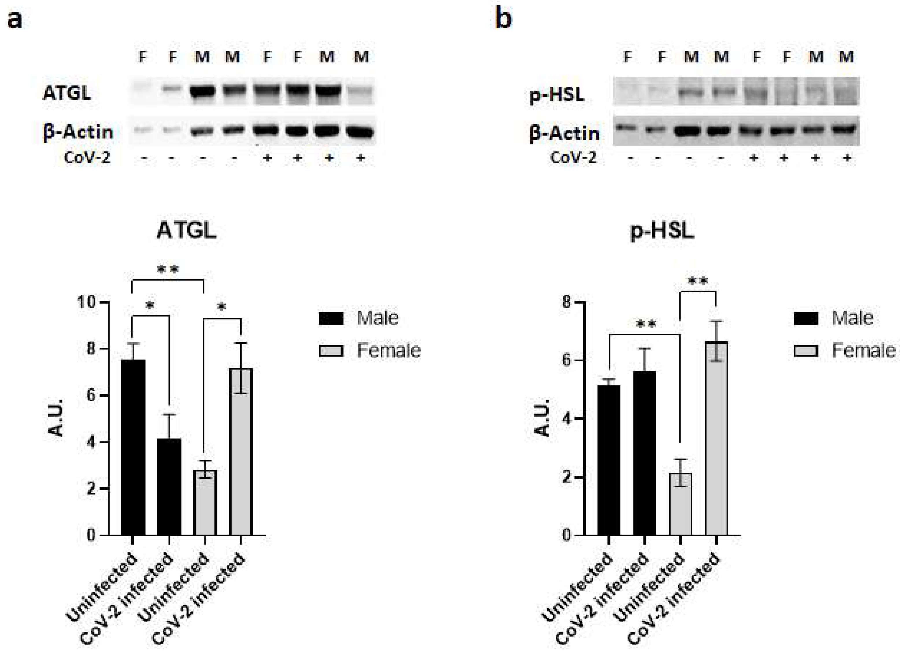 Ijms 24 01314 g004 Ijms 24 01314 g004