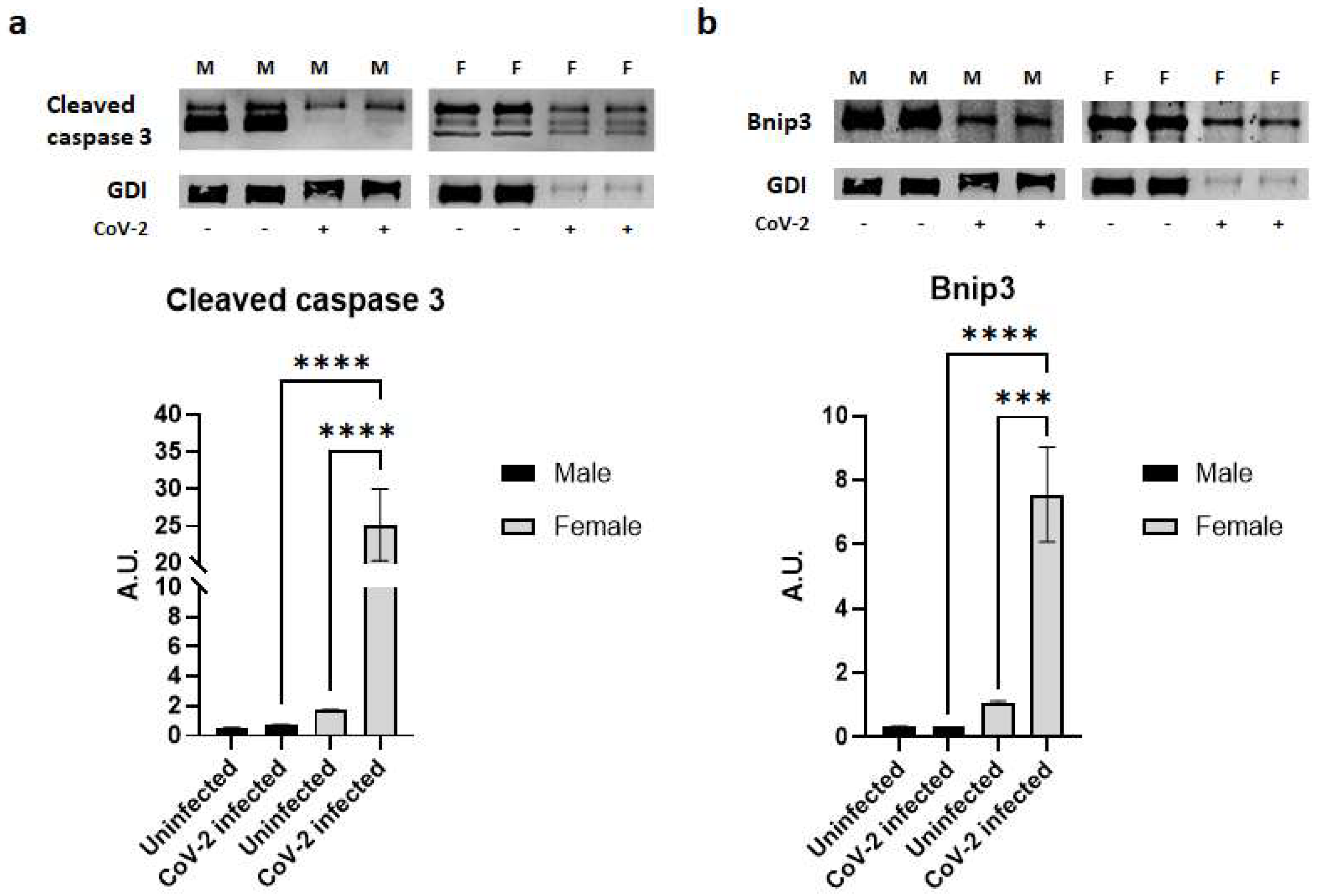 Ijms 24 01314 g005 Ijms 24 01314 g005