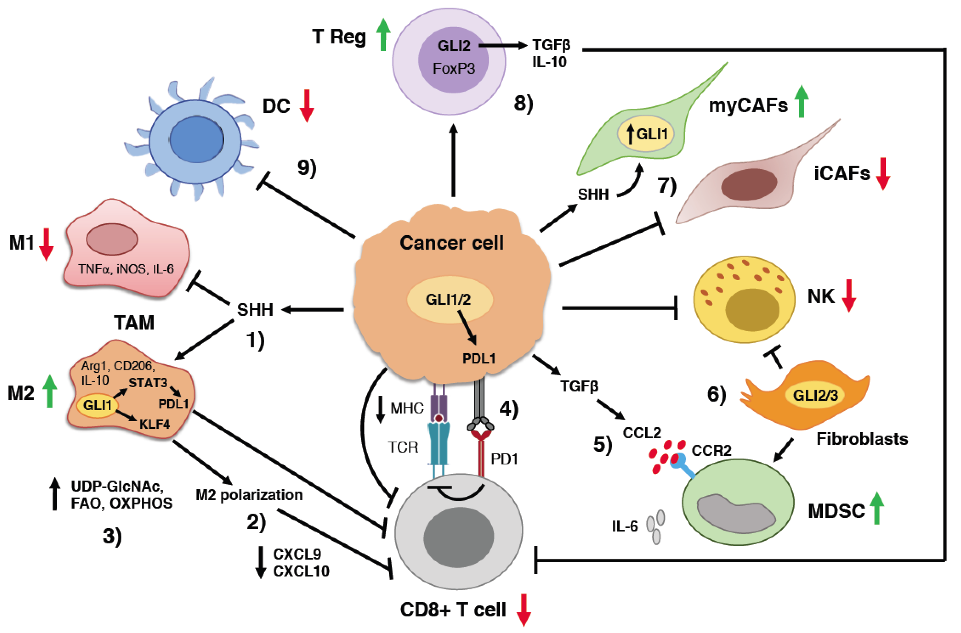 Ijms 24 01321 g002 Ijms 24 01321 g002