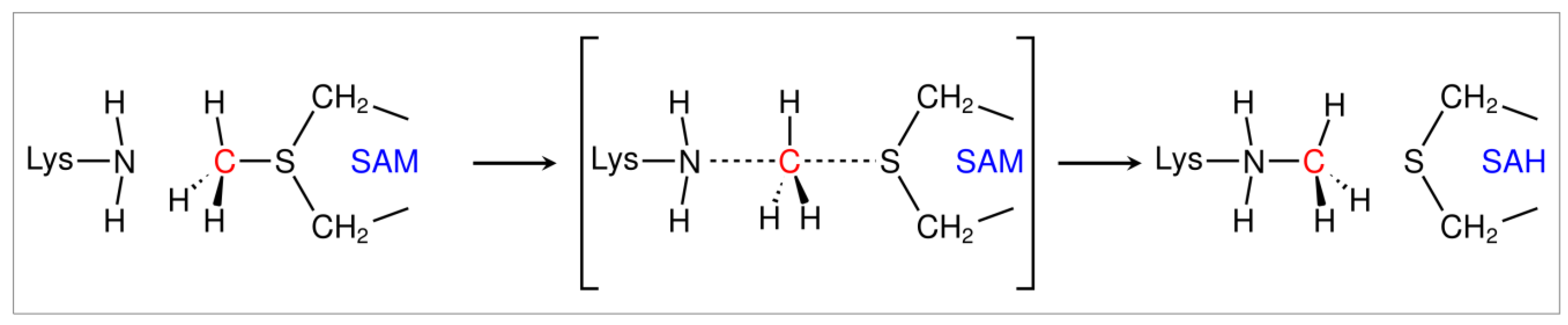 Ijms 24 01327 g001 Ijms 24 01327 g001
