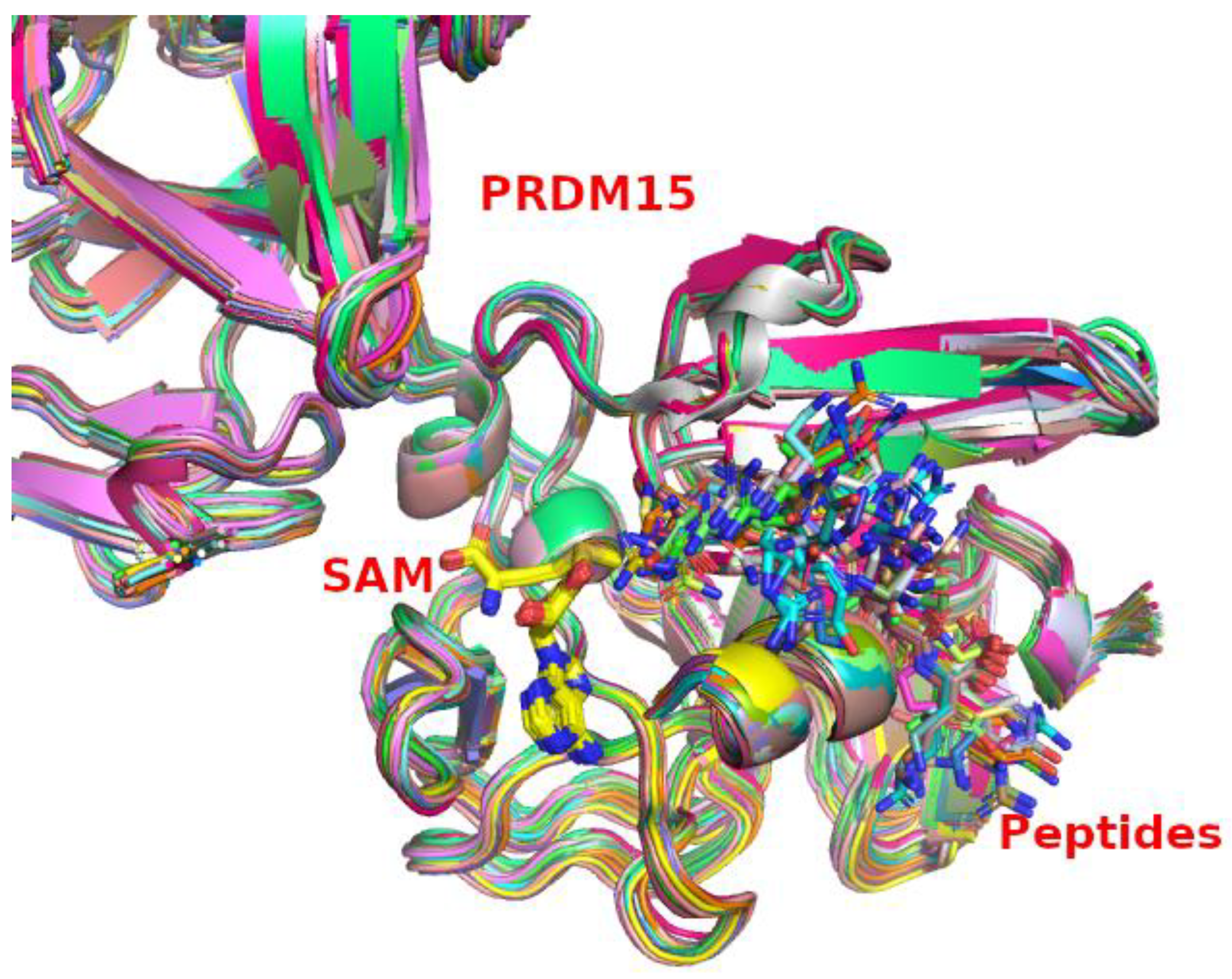 Ijms 24 01327 g004 Ijms 24 01327 g004