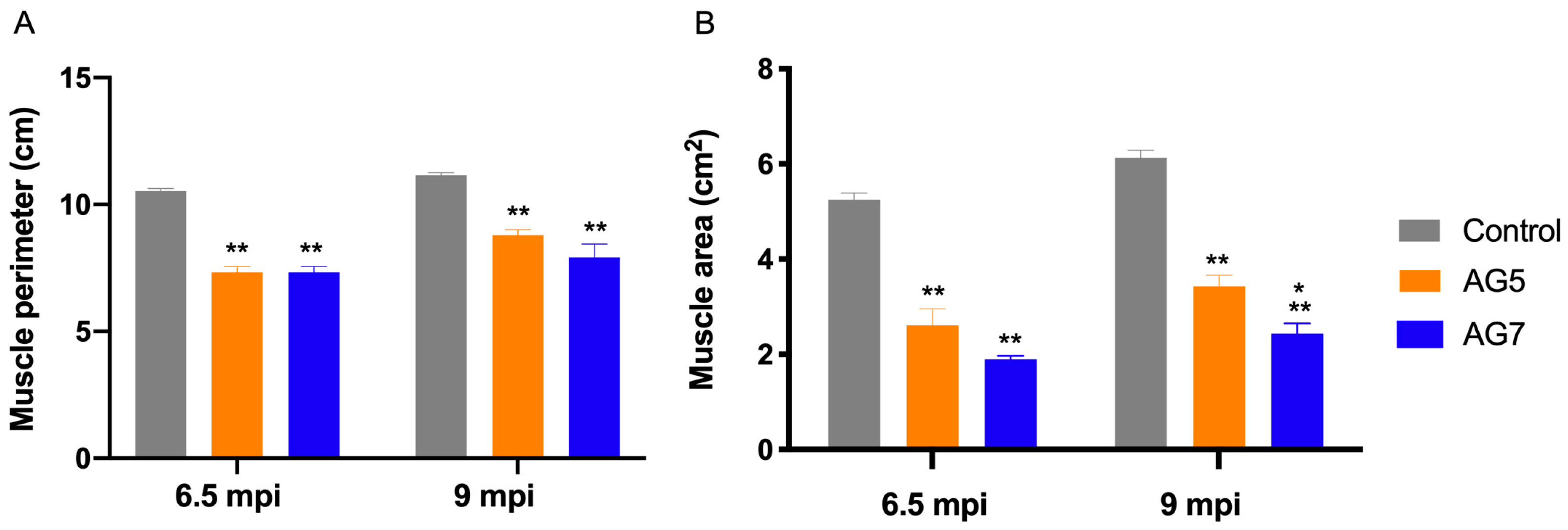 Ijms 24 01333 g003 Ijms 24 01333 g003