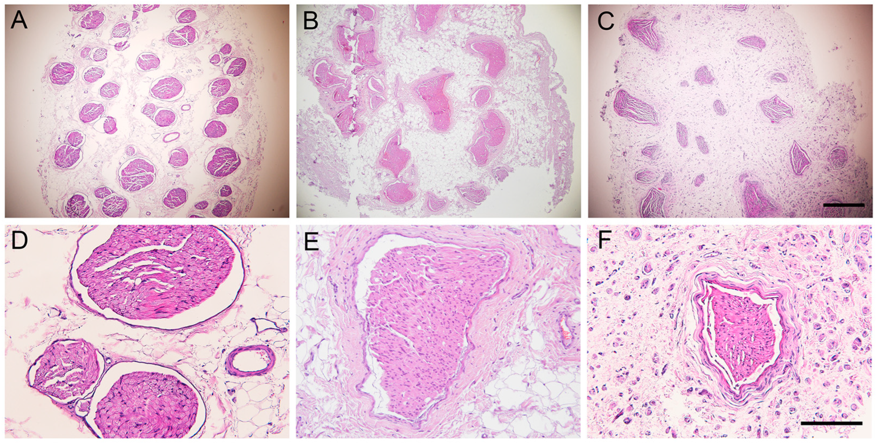 Ijms 24 01333 g004 Ijms 24 01333 g004