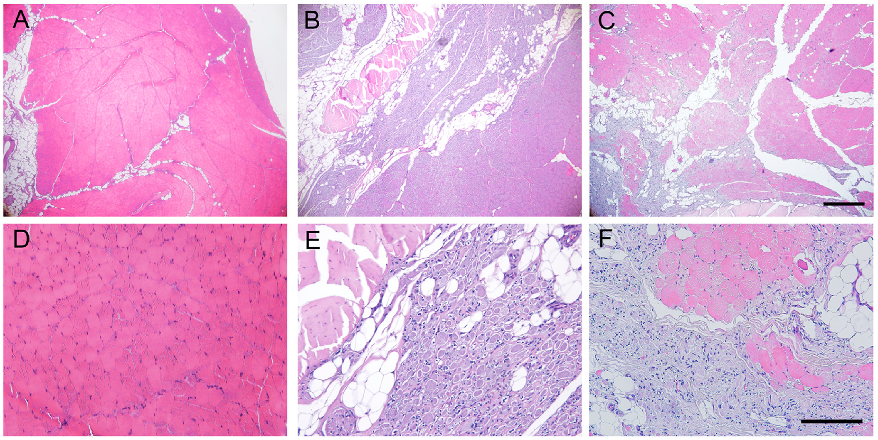 Ijms 24 01333 g006 Ijms 24 01333 g006