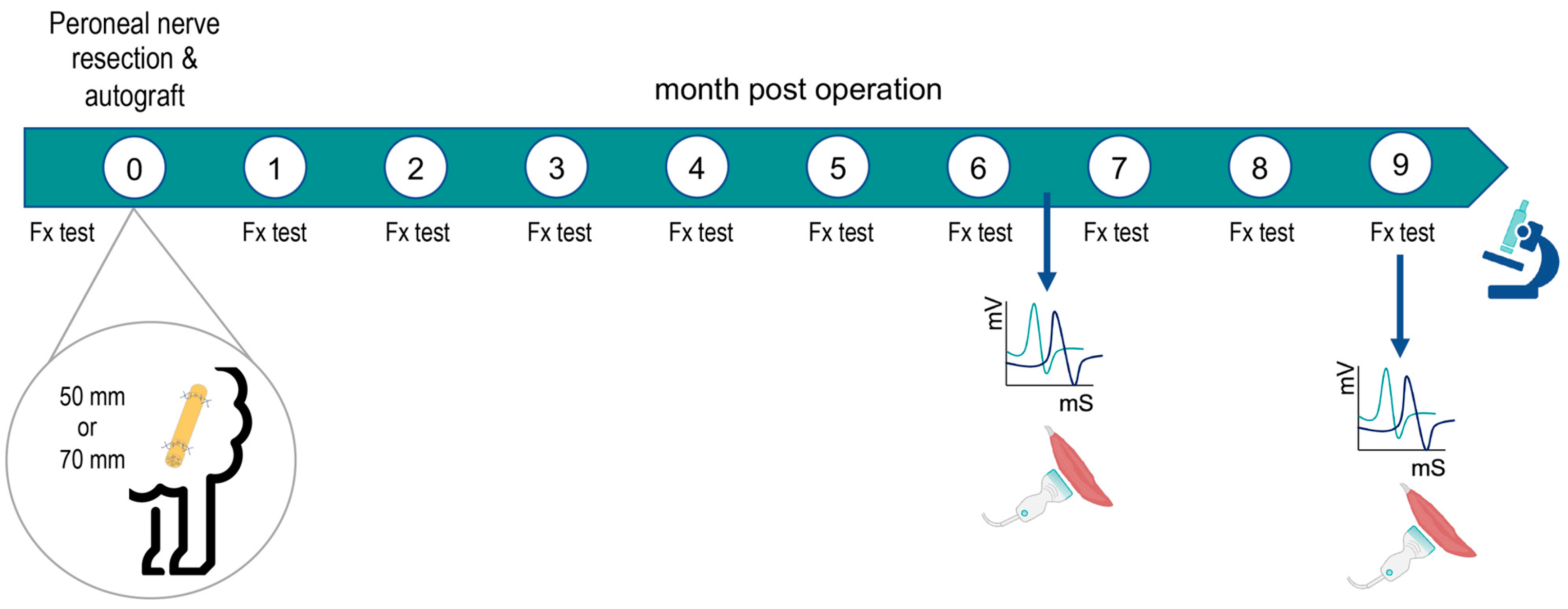 Ijms 24 01333 g007 Ijms 24 01333 g007