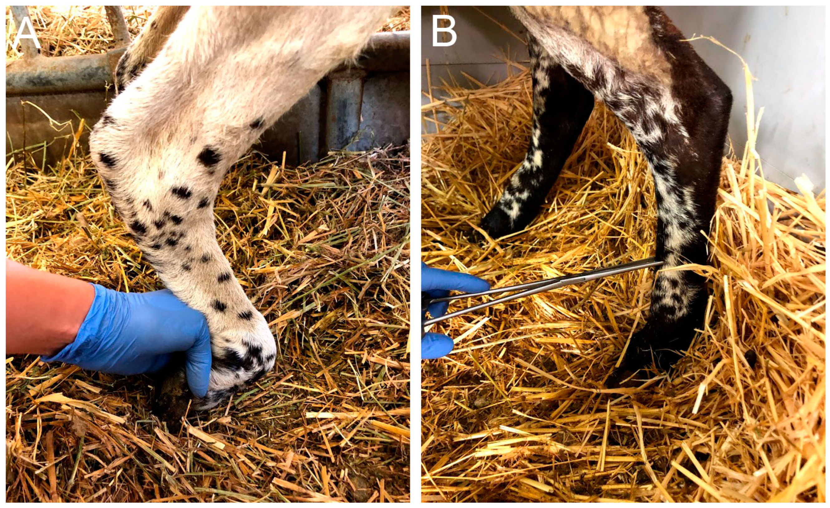 Ijms 24 01333 g009 Ijms 24 01333 g009