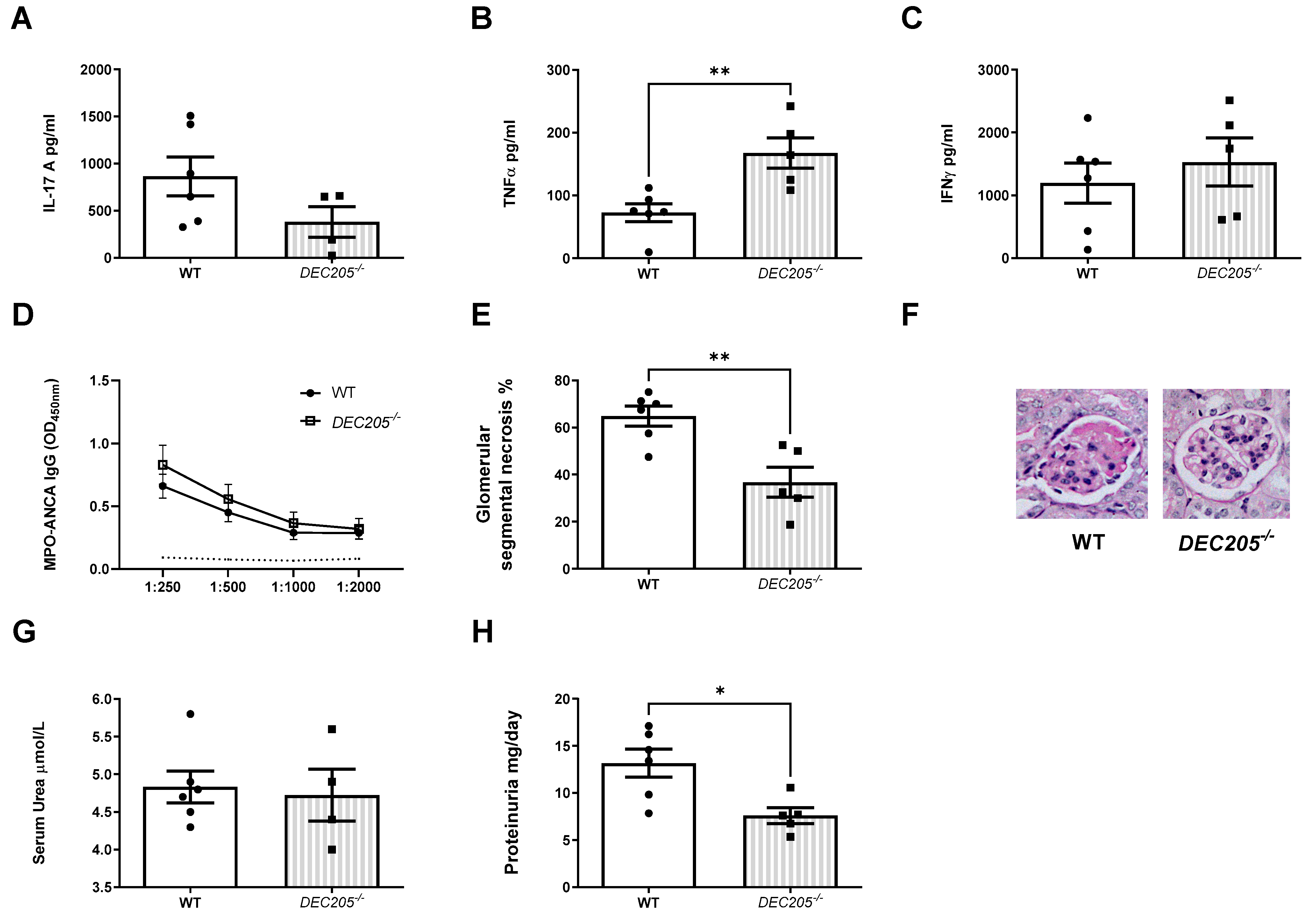 Ijms 24 01339 g007 Ijms 24 01339 g007