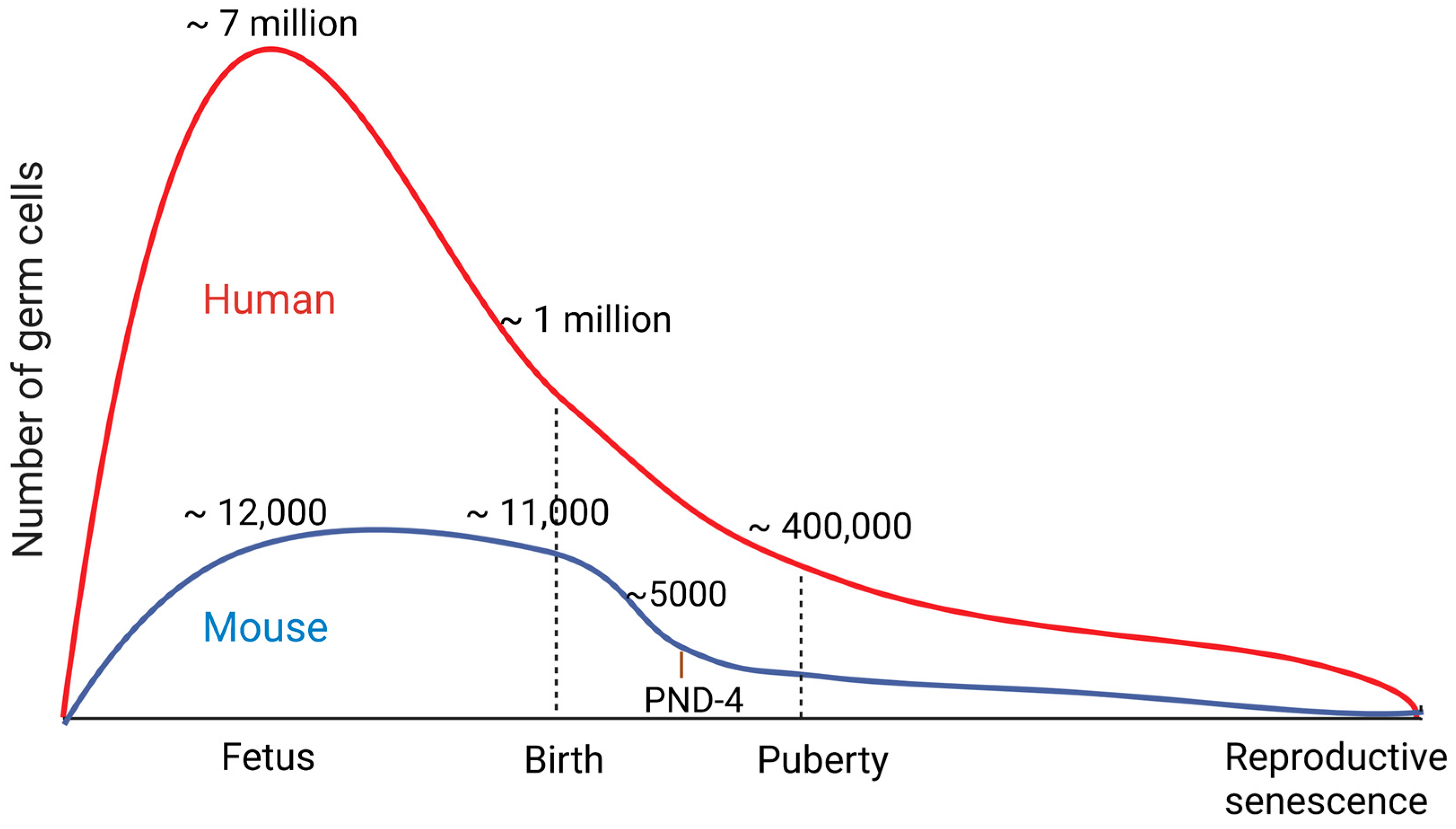 Ijms 24 01345 g001 Ijms 24 01345 g001