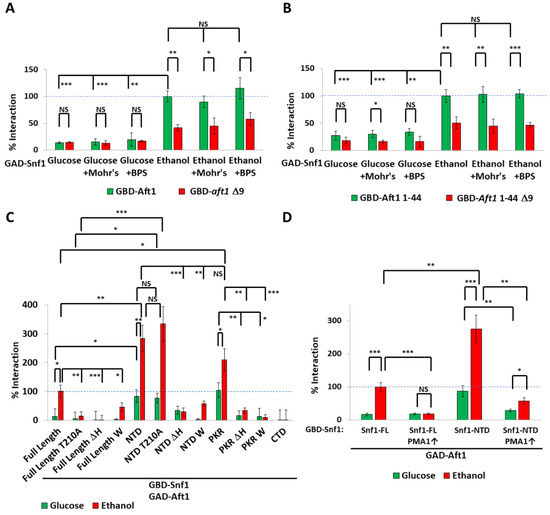 IJMS | Free Full-Text | The polyHIS Tract of Yeast AMPK Coordinates ...