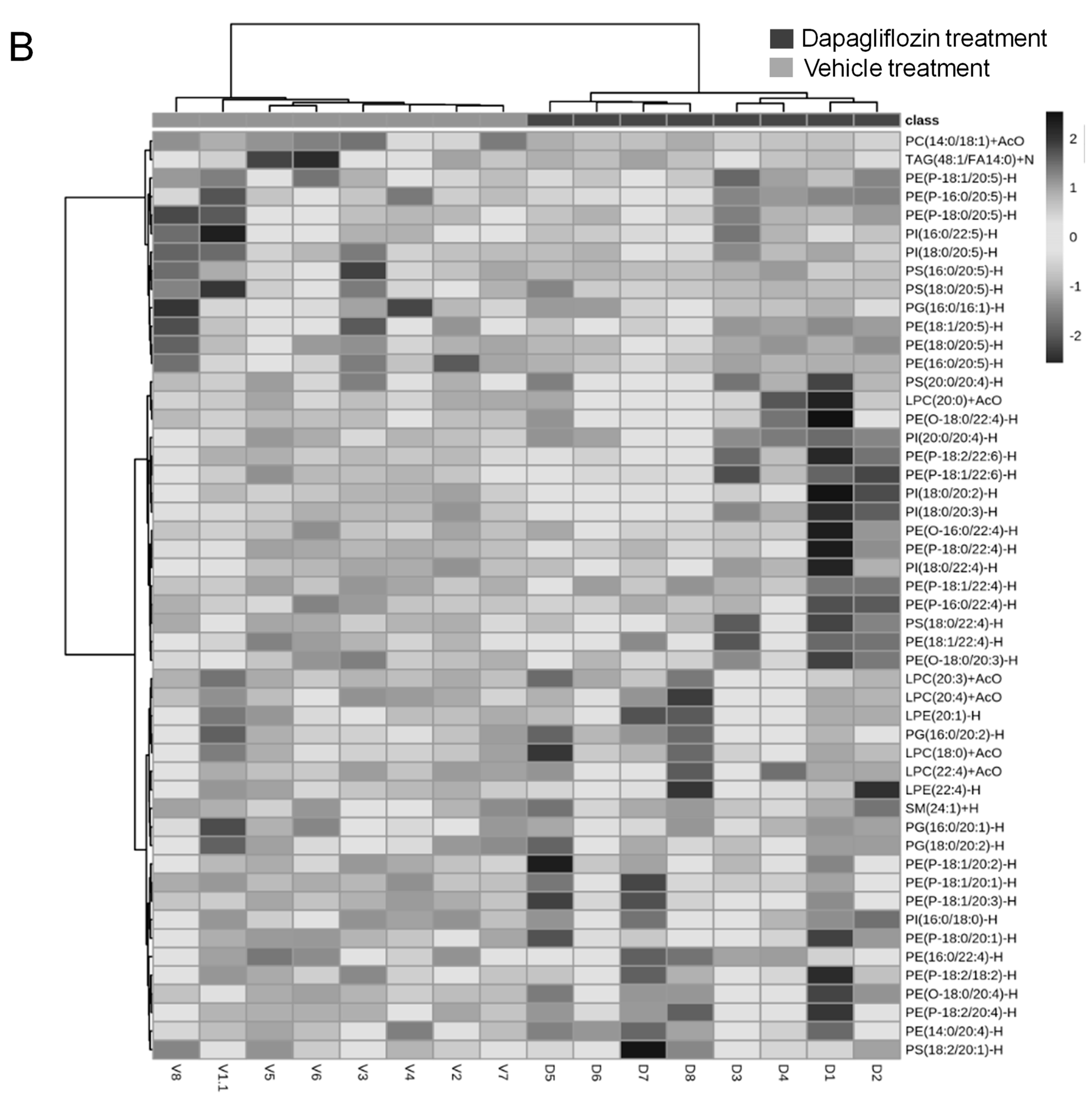 Ijms 24 01408 g001b Ijms 24 01408 g001b