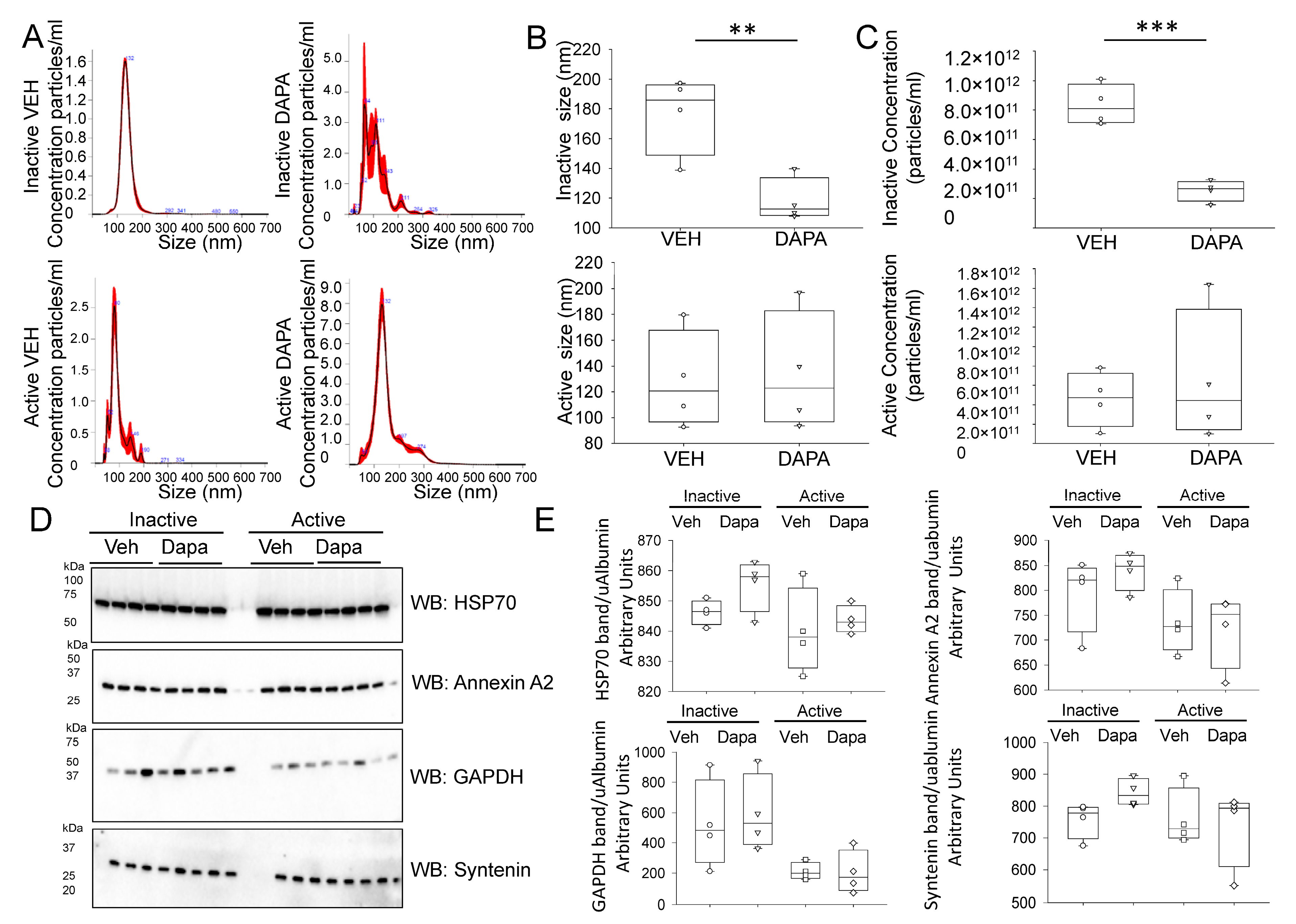 Ijms 24 01408 g004 Ijms 24 01408 g004