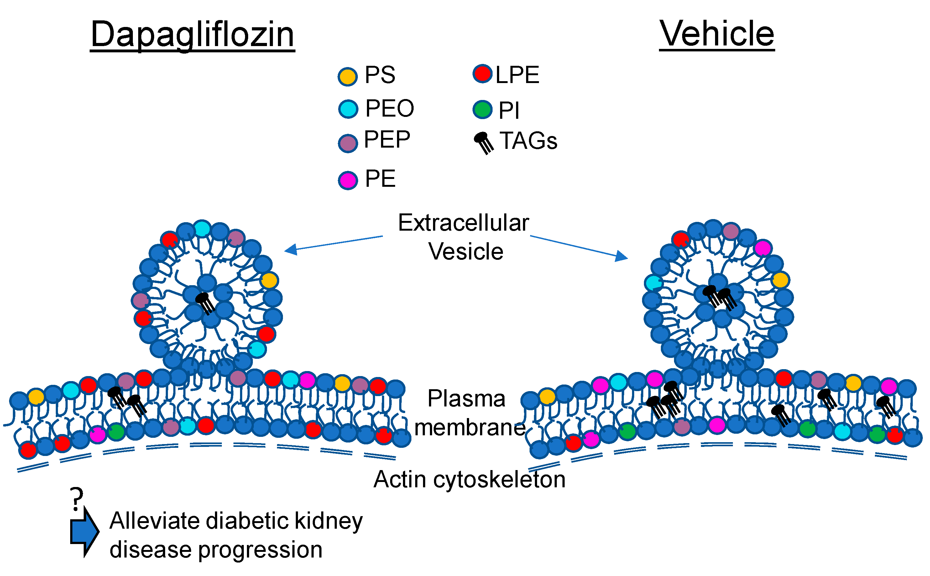 Ijms 24 01408 g006 Ijms 24 01408 g006