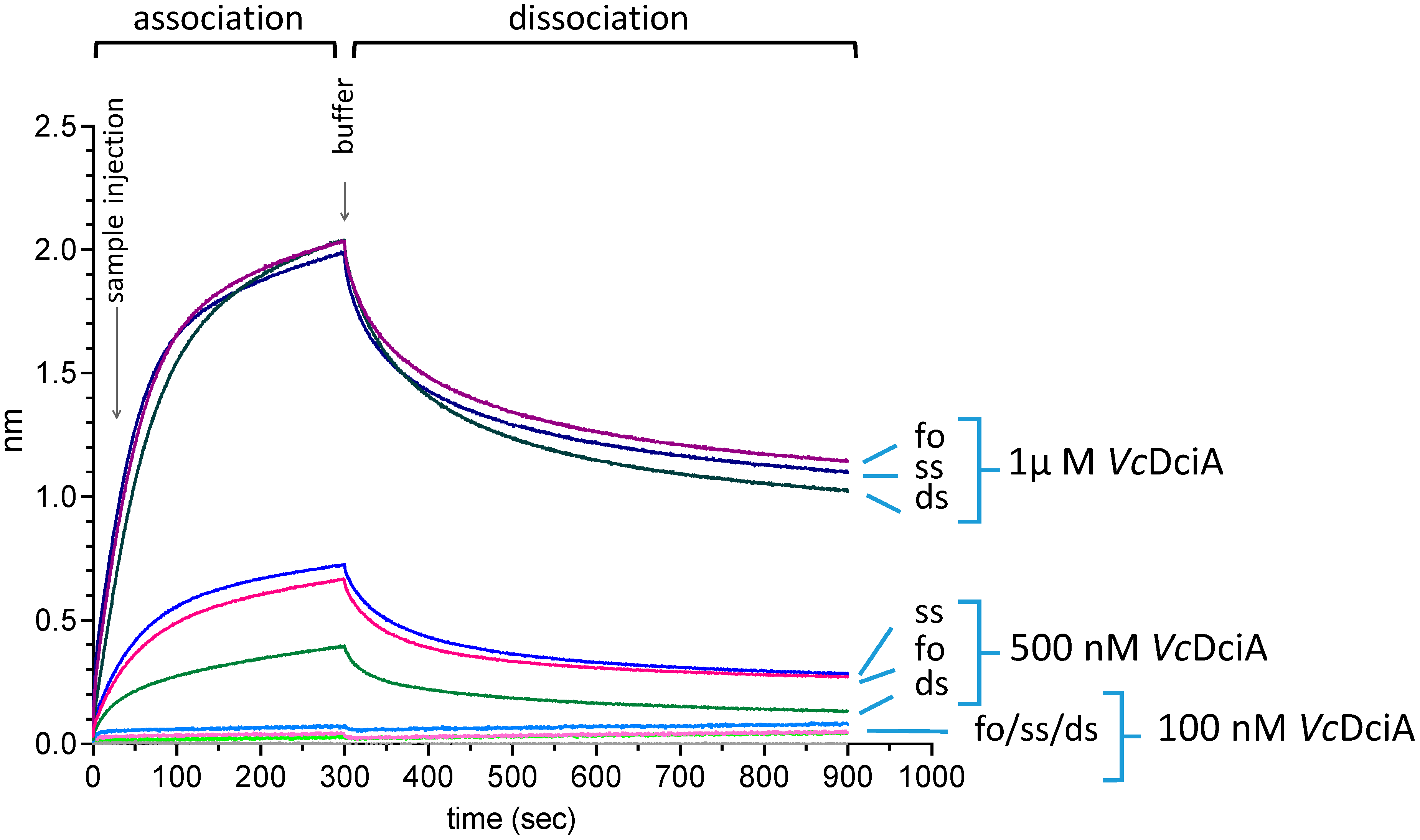 Ijms 24 01427 g001 Ijms 24 01427 g001