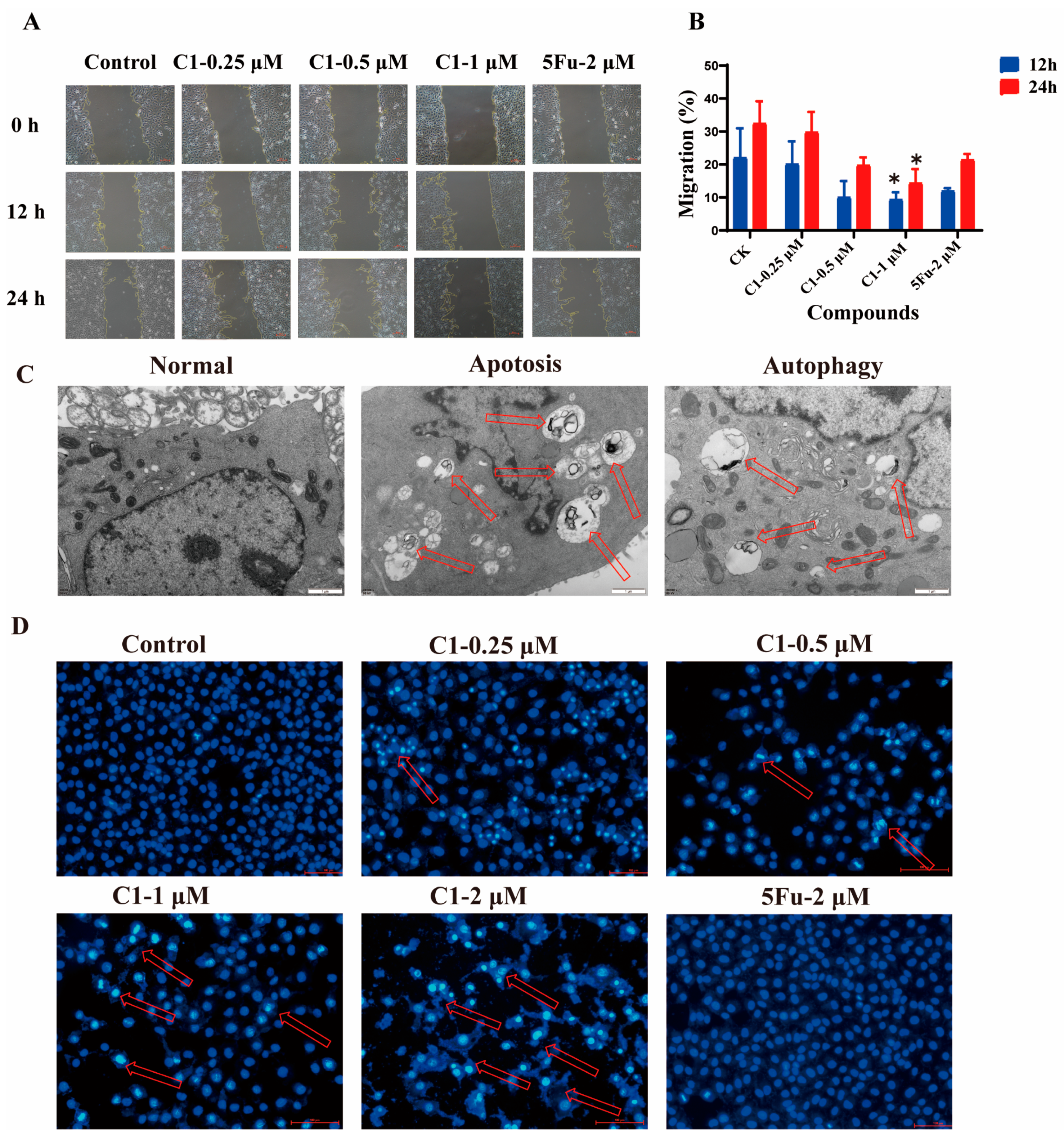 Ijms 24 01450 g005 Ijms 24 01450 g005