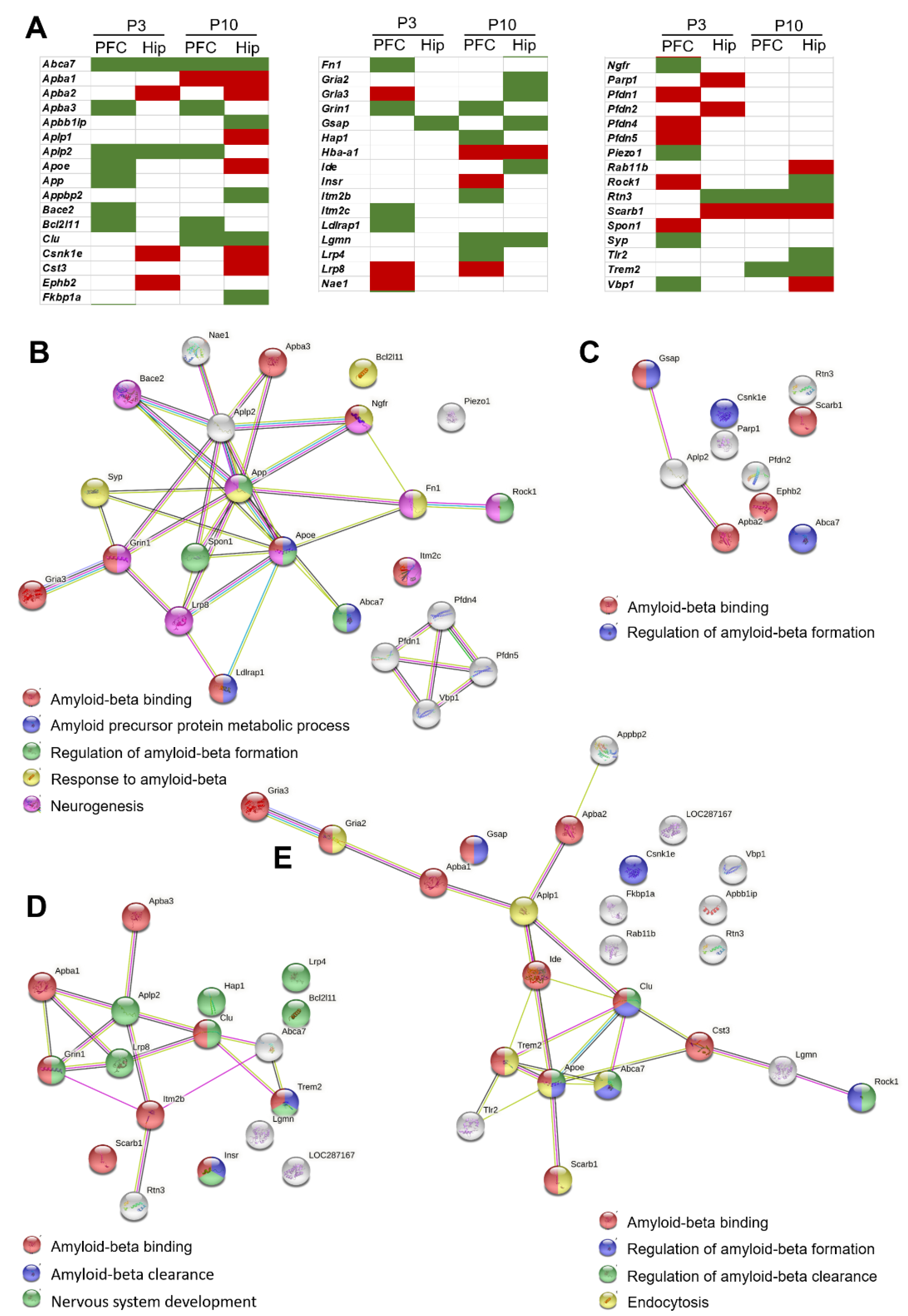 Ijms 24 01462 g003 Ijms 24 01462 g003