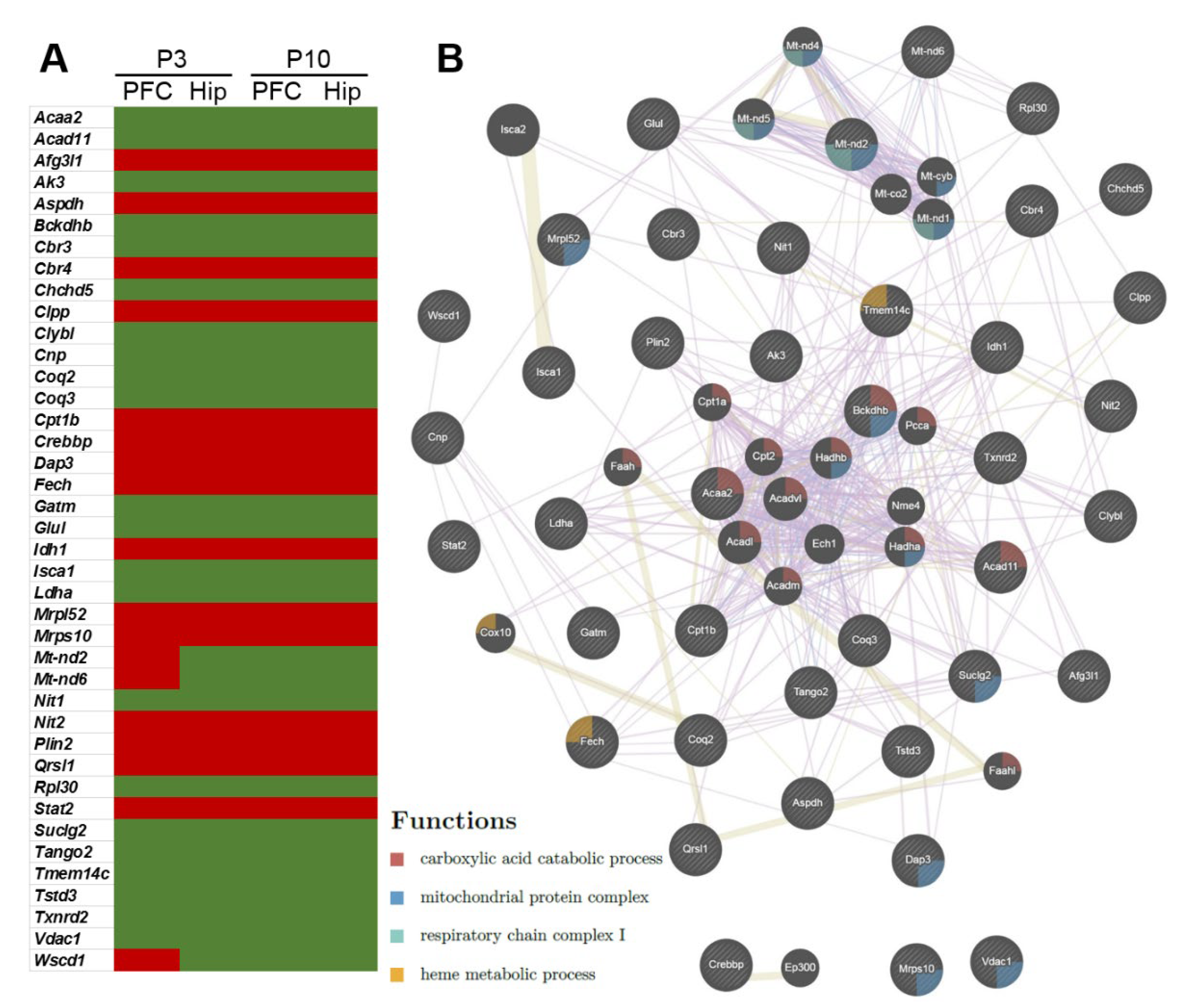 Ijms 24 01462 g004 Ijms 24 01462 g004