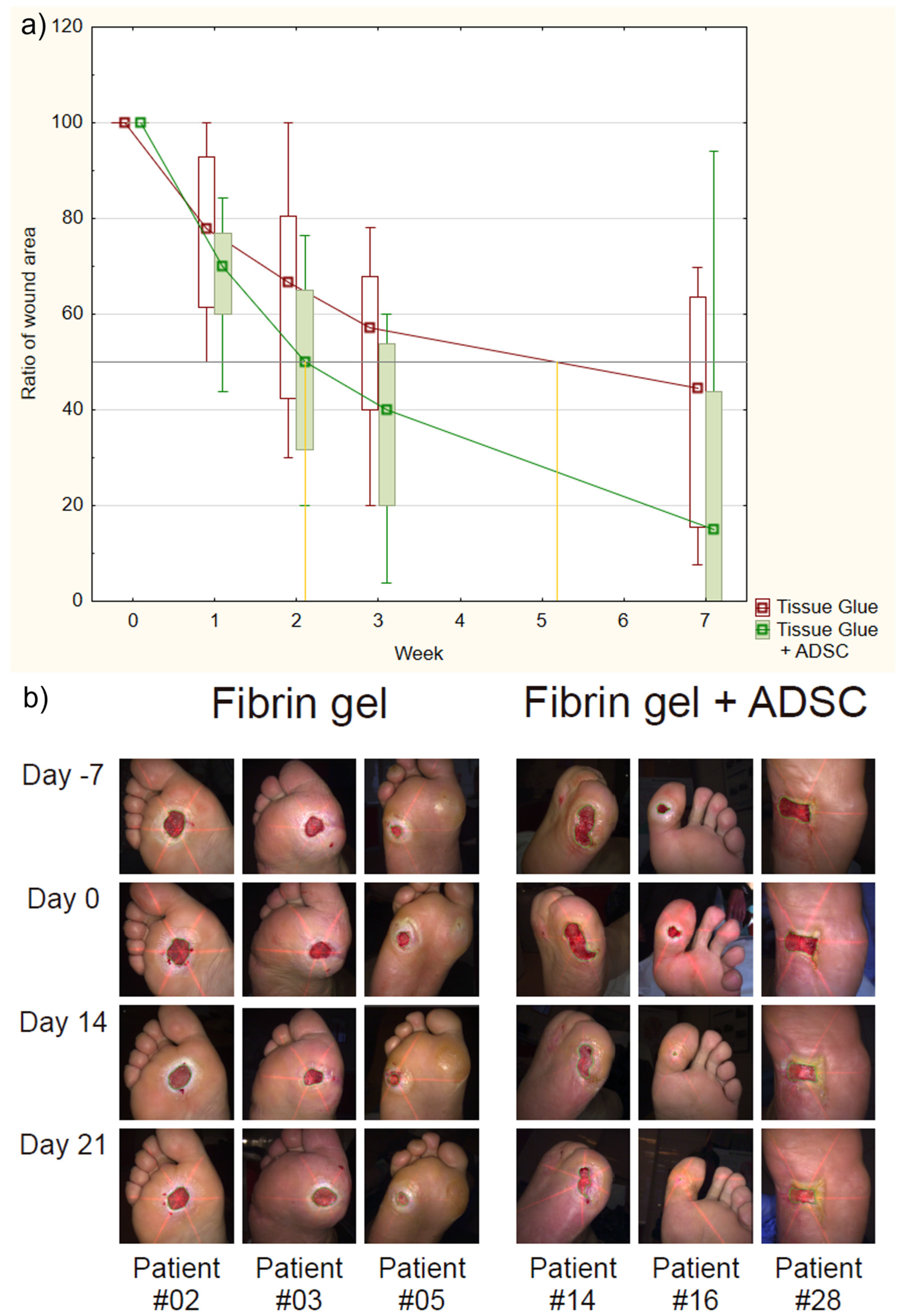 Ijms 24 01472 g001 Ijms 24 01472 g001