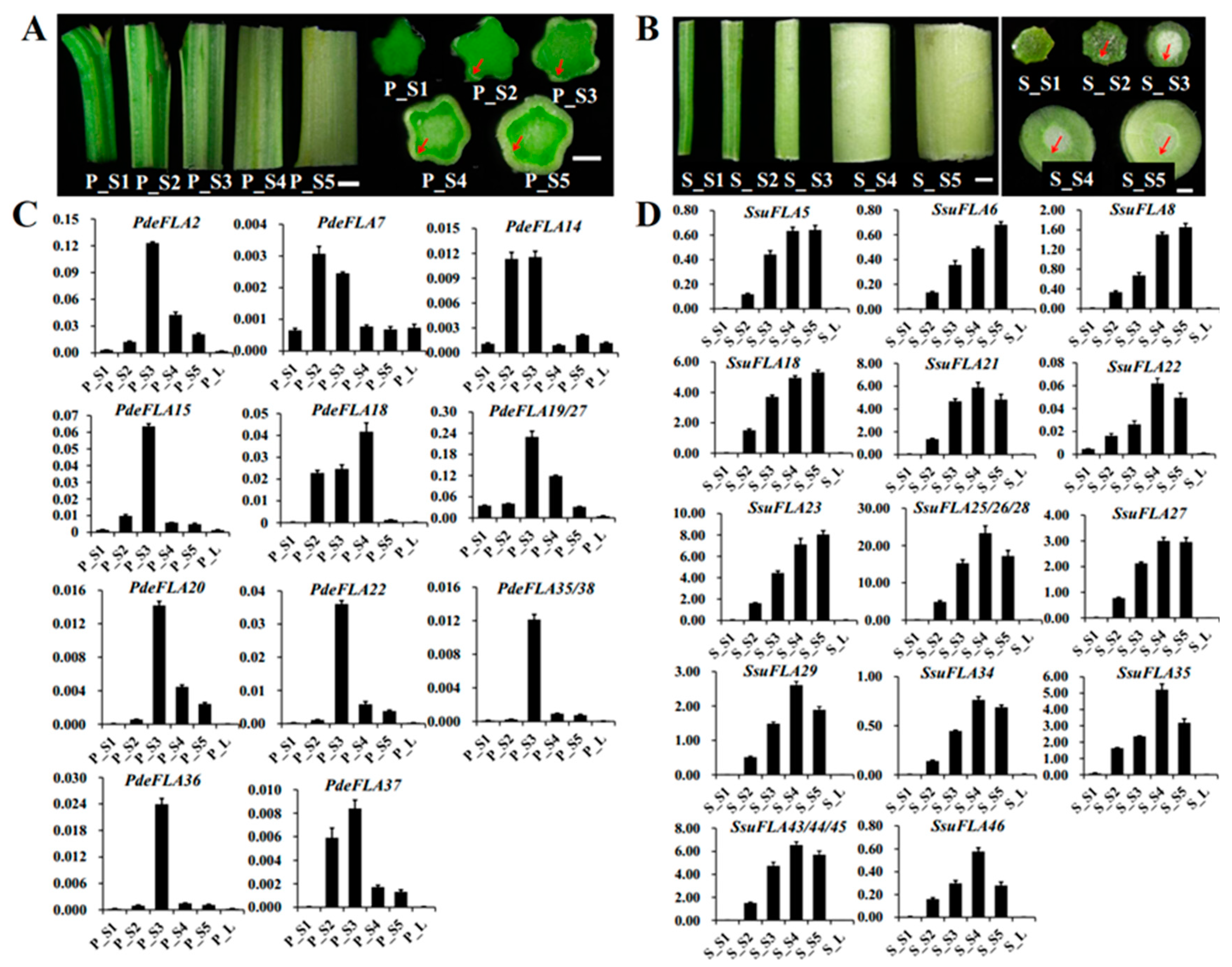 Ijms 24 01481 g005 Ijms 24 01481 g005
