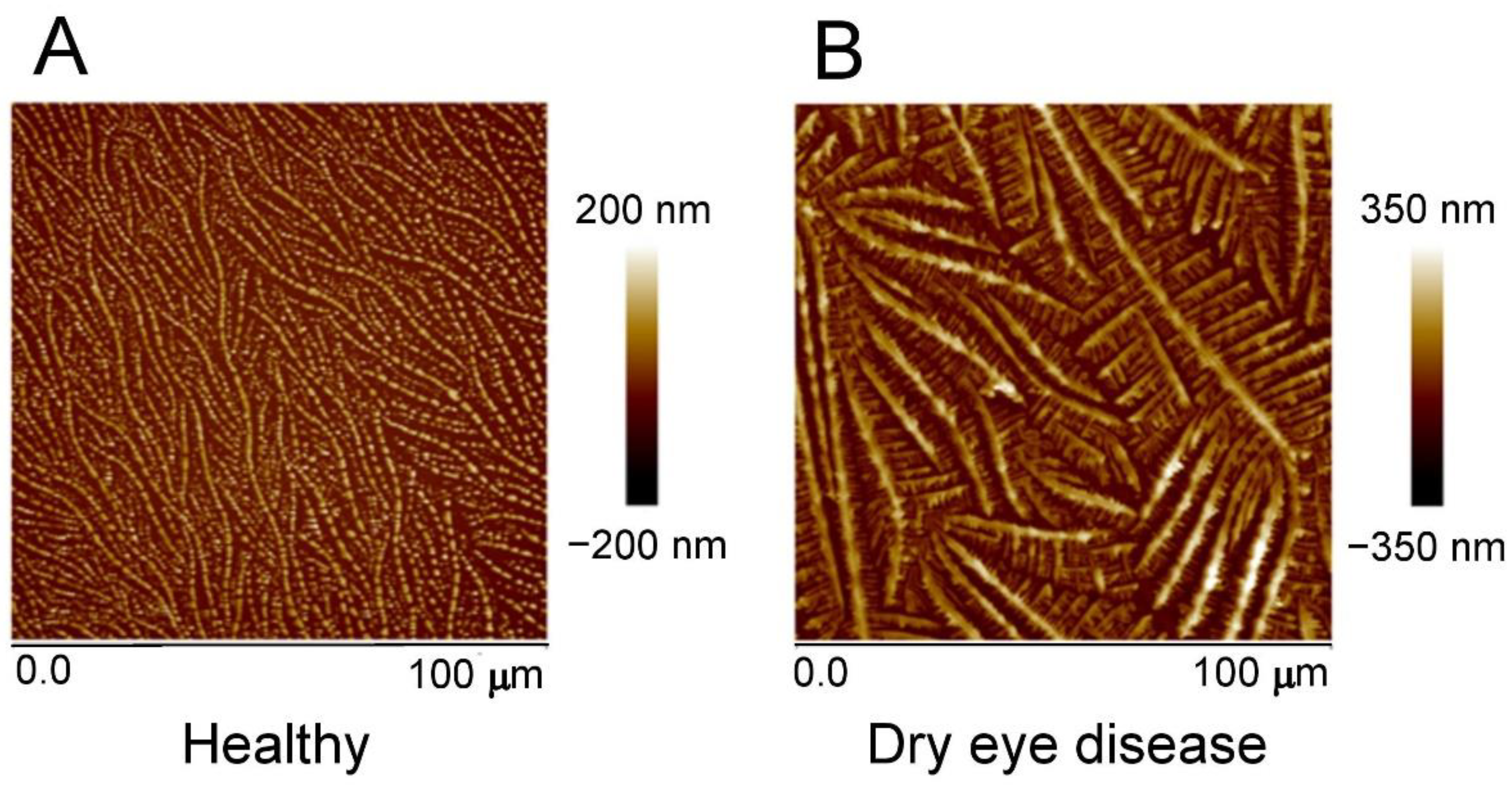 Ijms 24 01488 g002 Ijms 24 01488 g002