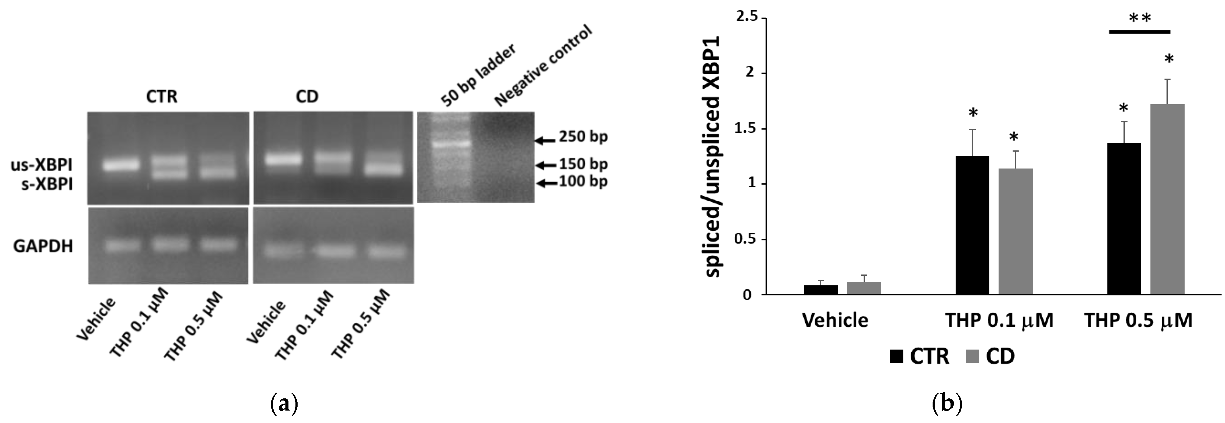 Ijms 24 01495 g004 Ijms 24 01495 g004