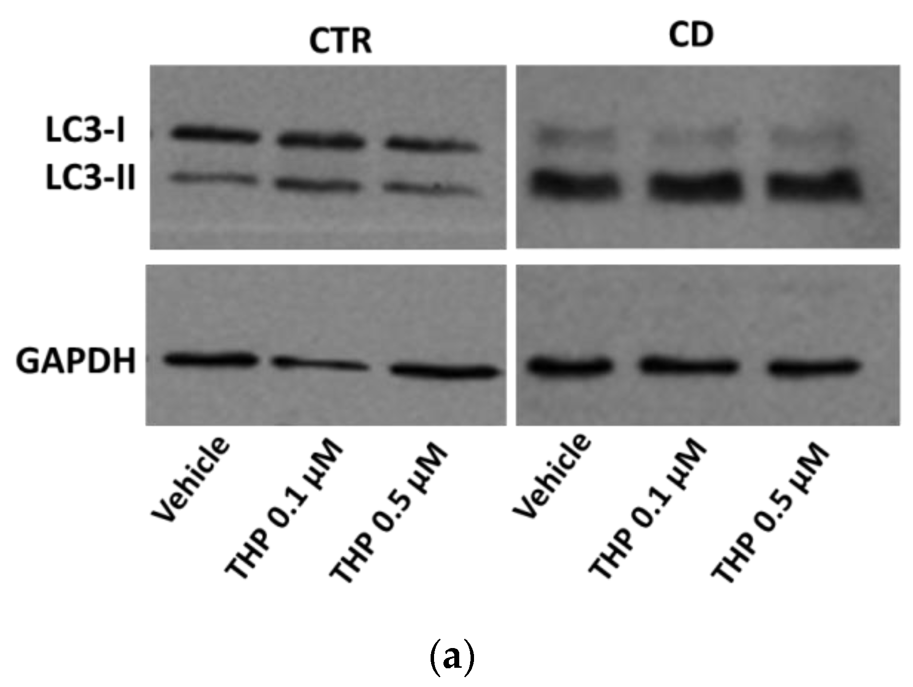 Ijms 24 01495 g006a Ijms 24 01495 g006a