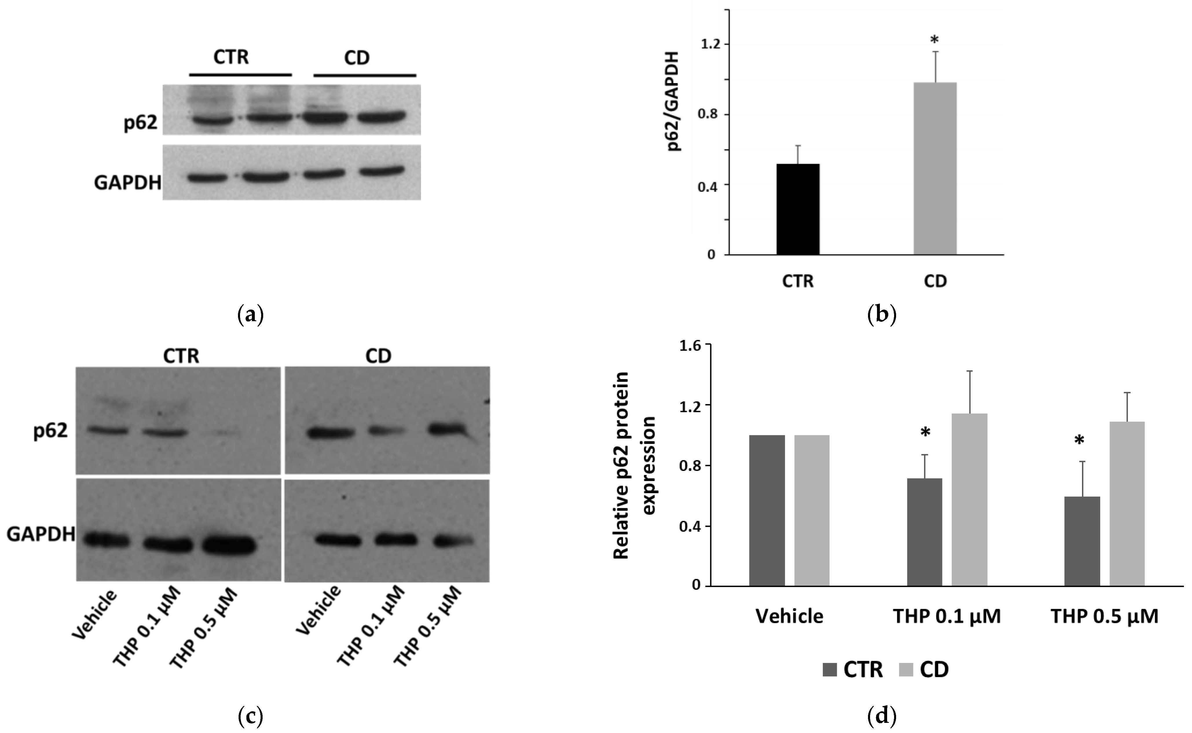 Ijms 24 01495 g007 Ijms 24 01495 g007