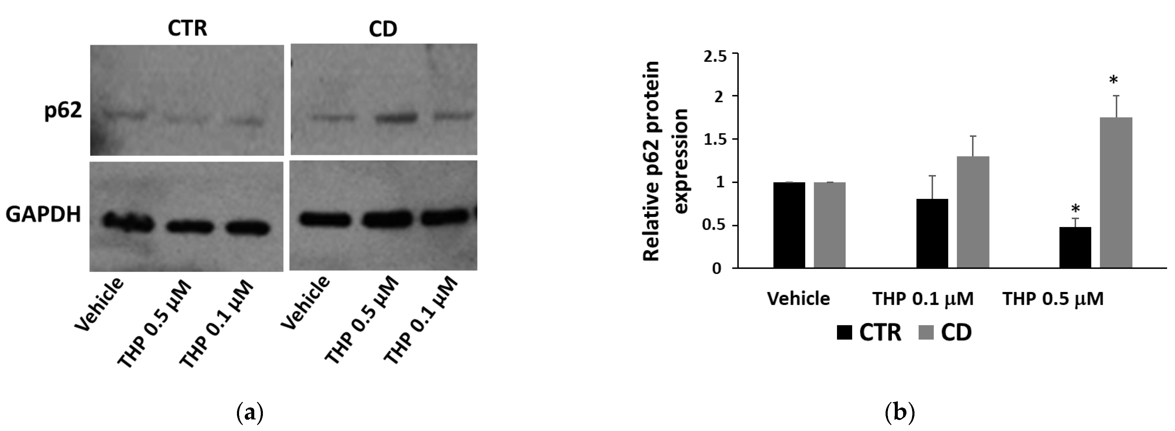 Ijms 24 01495 g008 Ijms 24 01495 g008