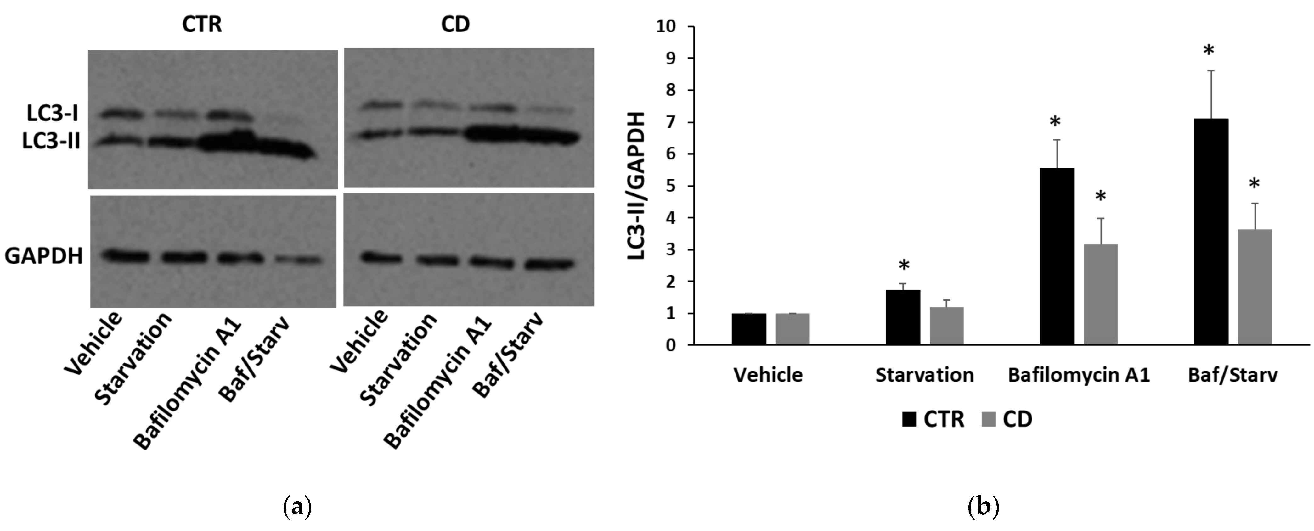 Ijms 24 01495 g009a Ijms 24 01495 g009a