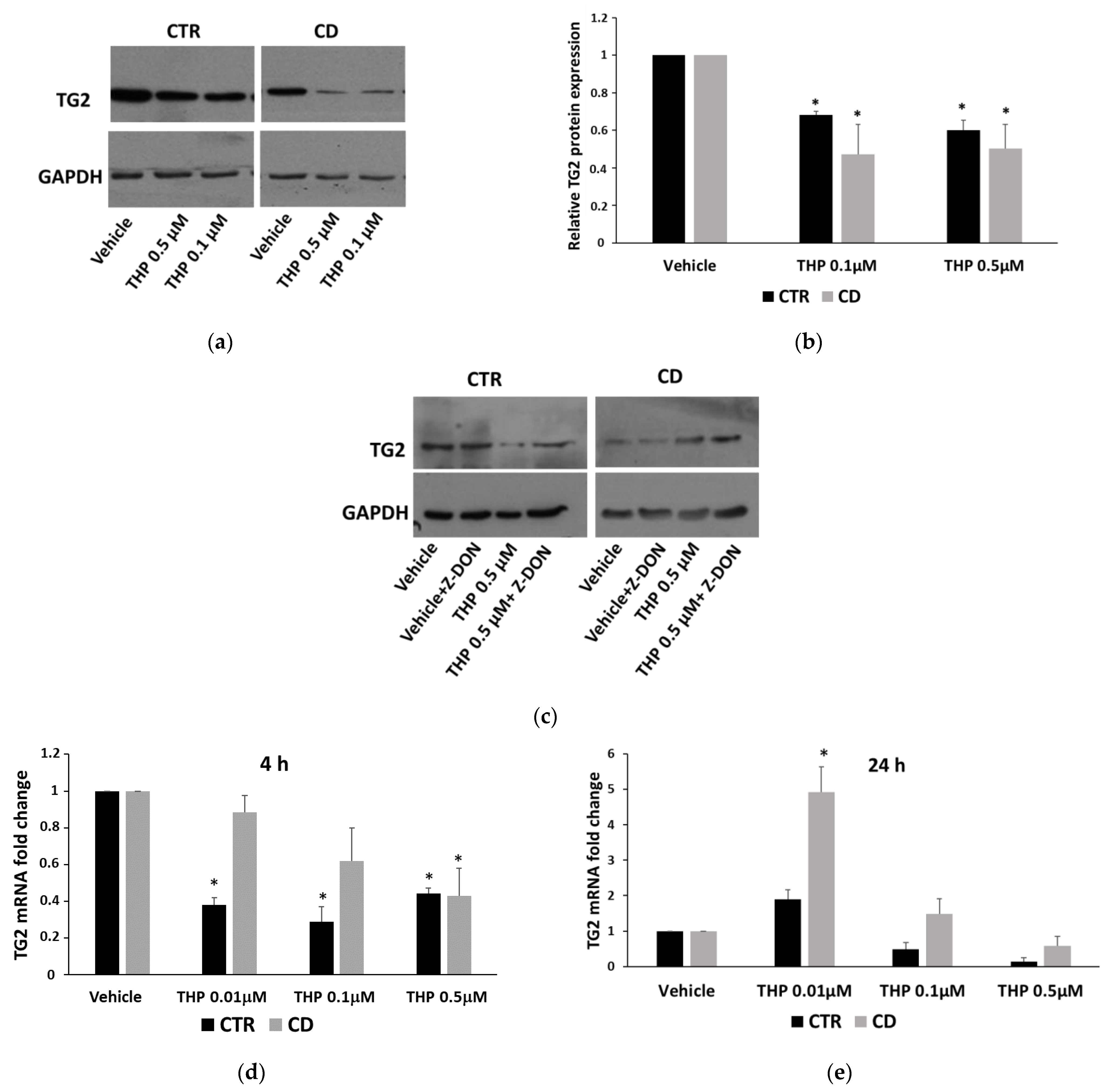 Ijms 24 01495 g011 Ijms 24 01495 g011