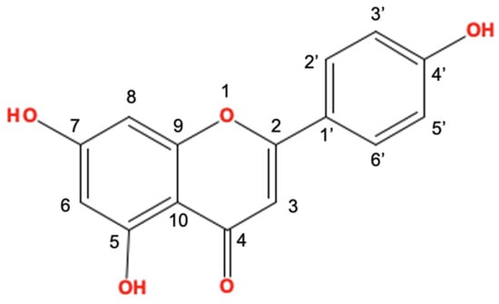 File:501 Structure of the skin.jpg - Wikimedia Commons