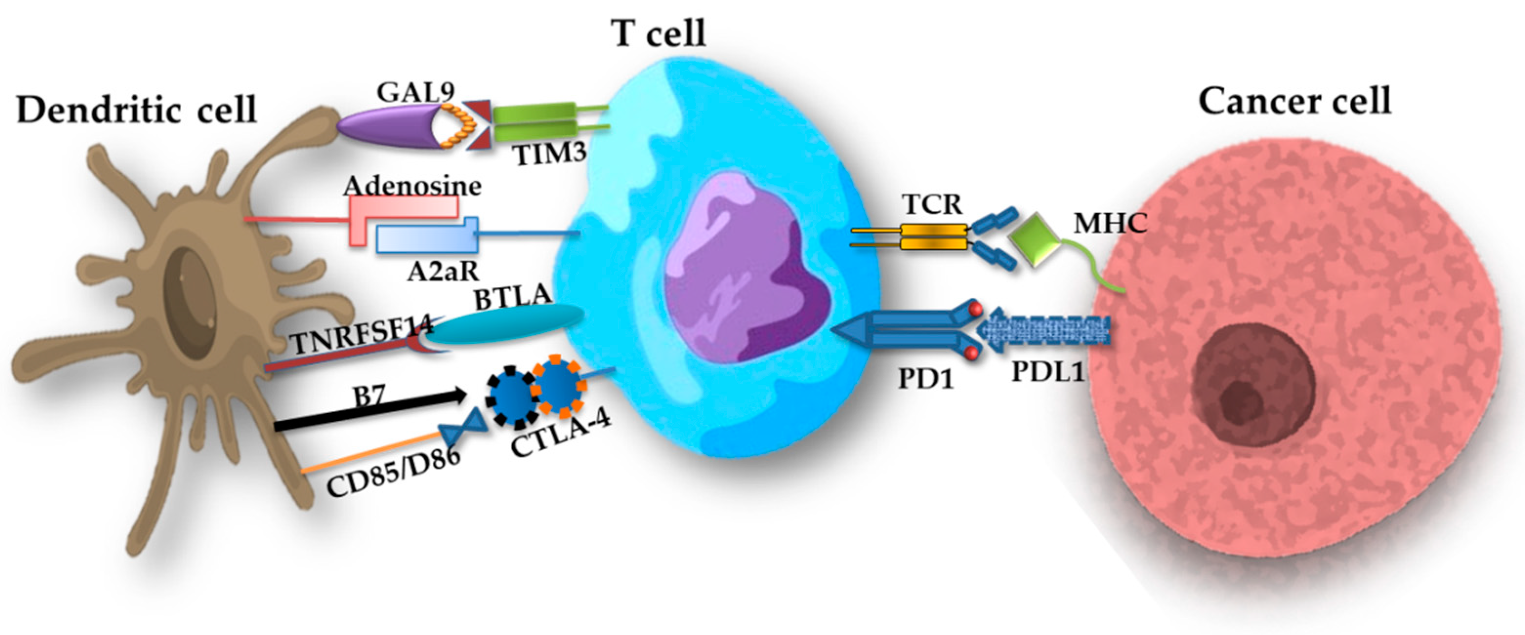 Ijms 24 01506 g005 Ijms 24 01506 g005