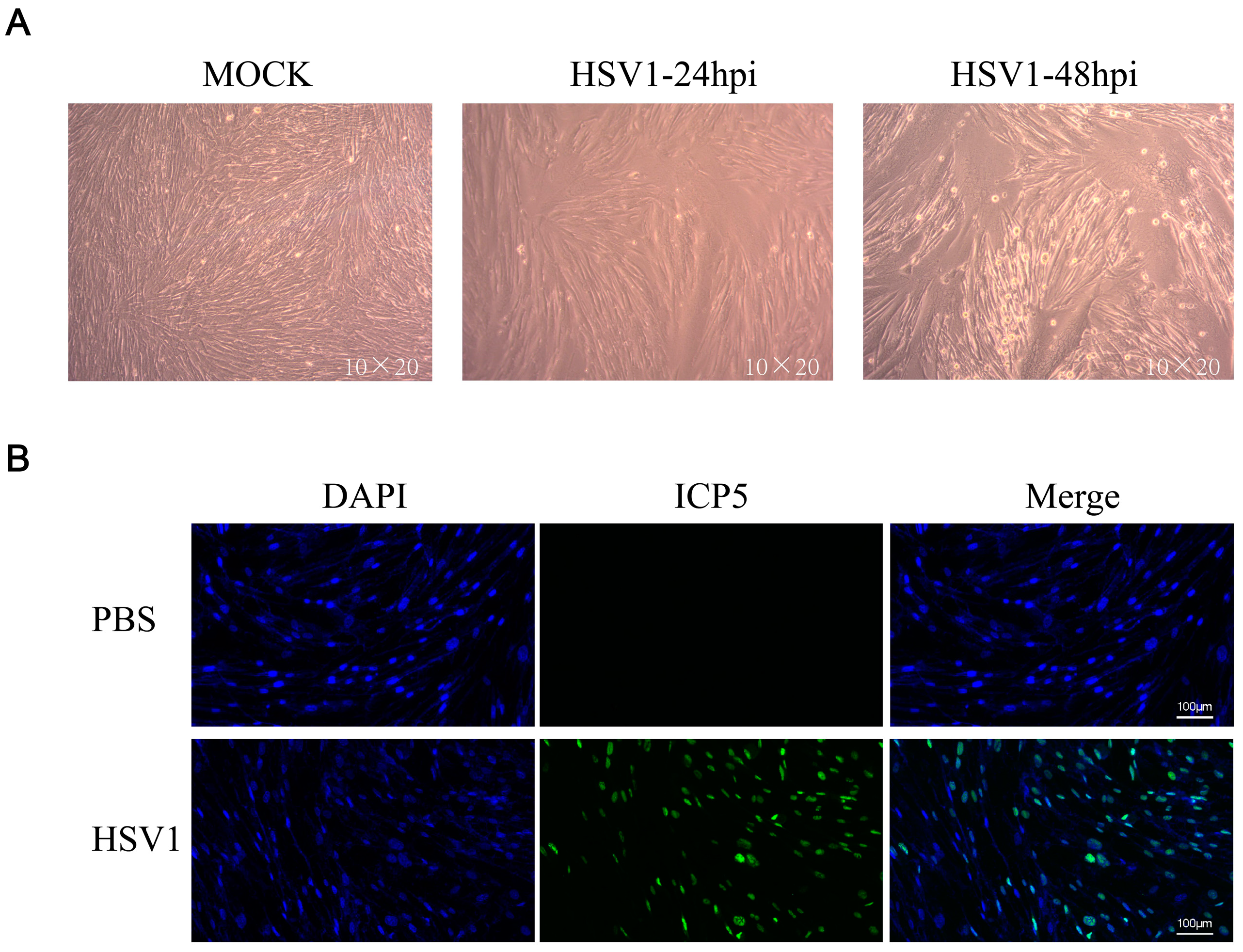 Ijms 24 01521 g001 Ijms 24 01521 g001