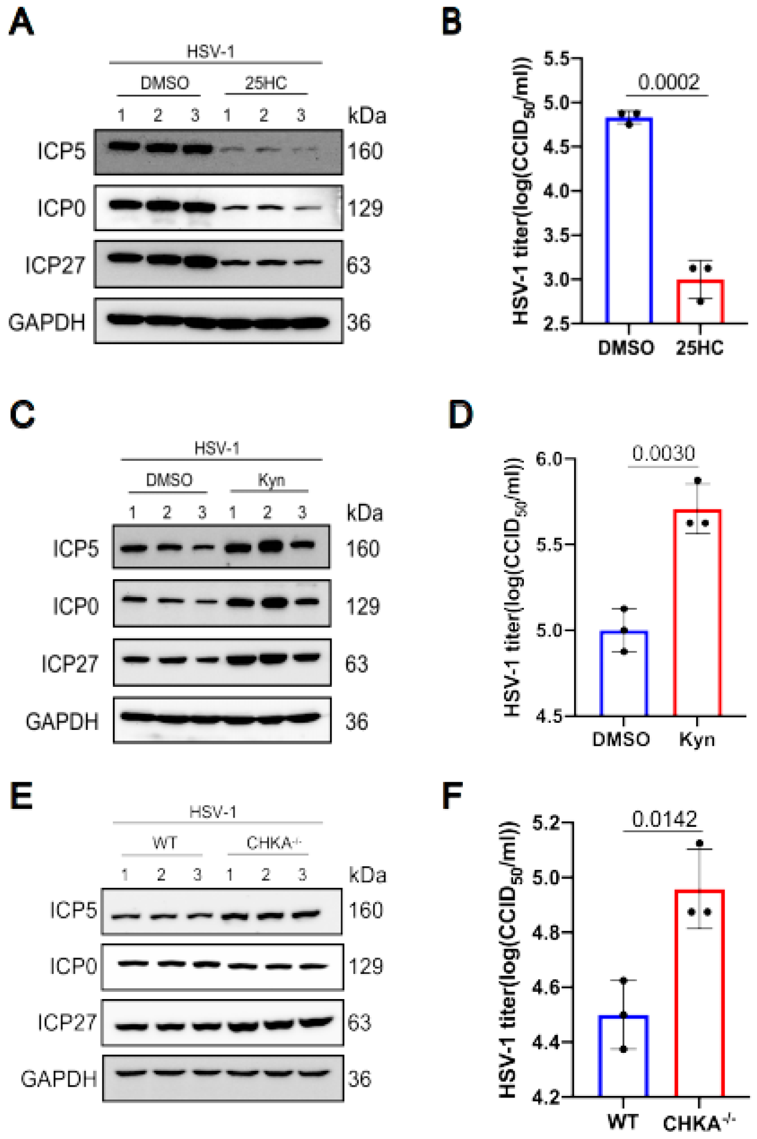 Ijms 24 01521 g006 Ijms 24 01521 g006
