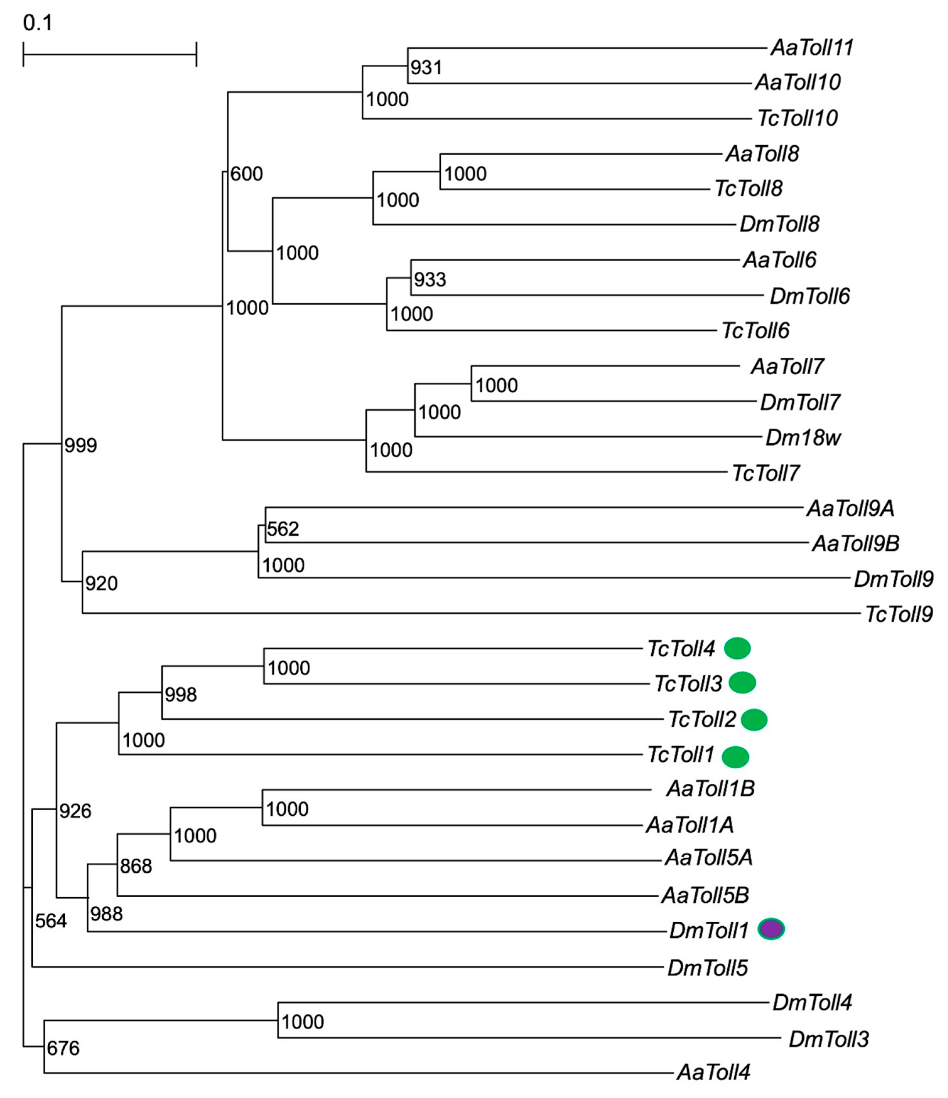Ijms 24 01523 g001 Ijms 24 01523 g001