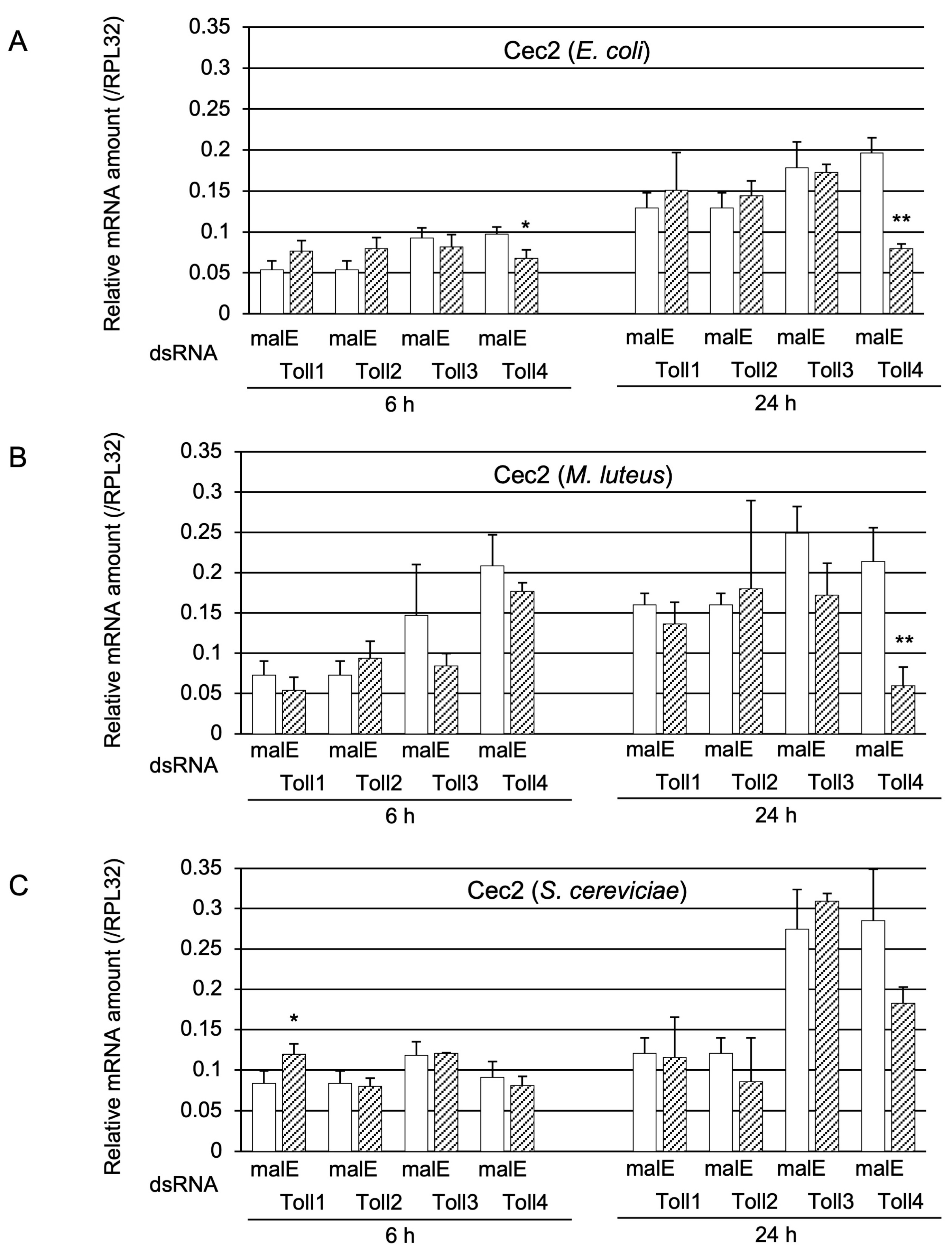 Ijms 24 01523 g003 Ijms 24 01523 g003