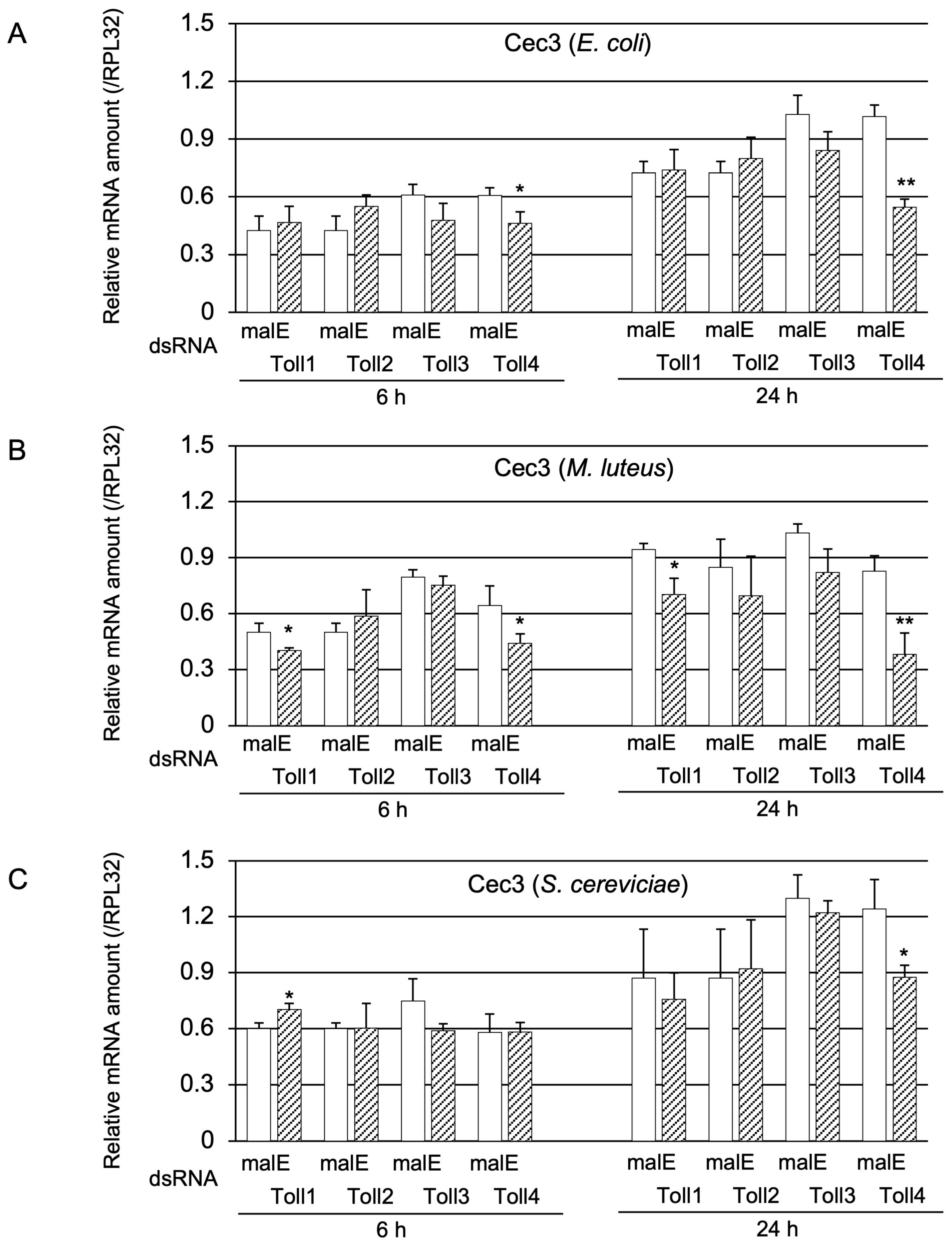 Ijms 24 01523 g004 Ijms 24 01523 g004
