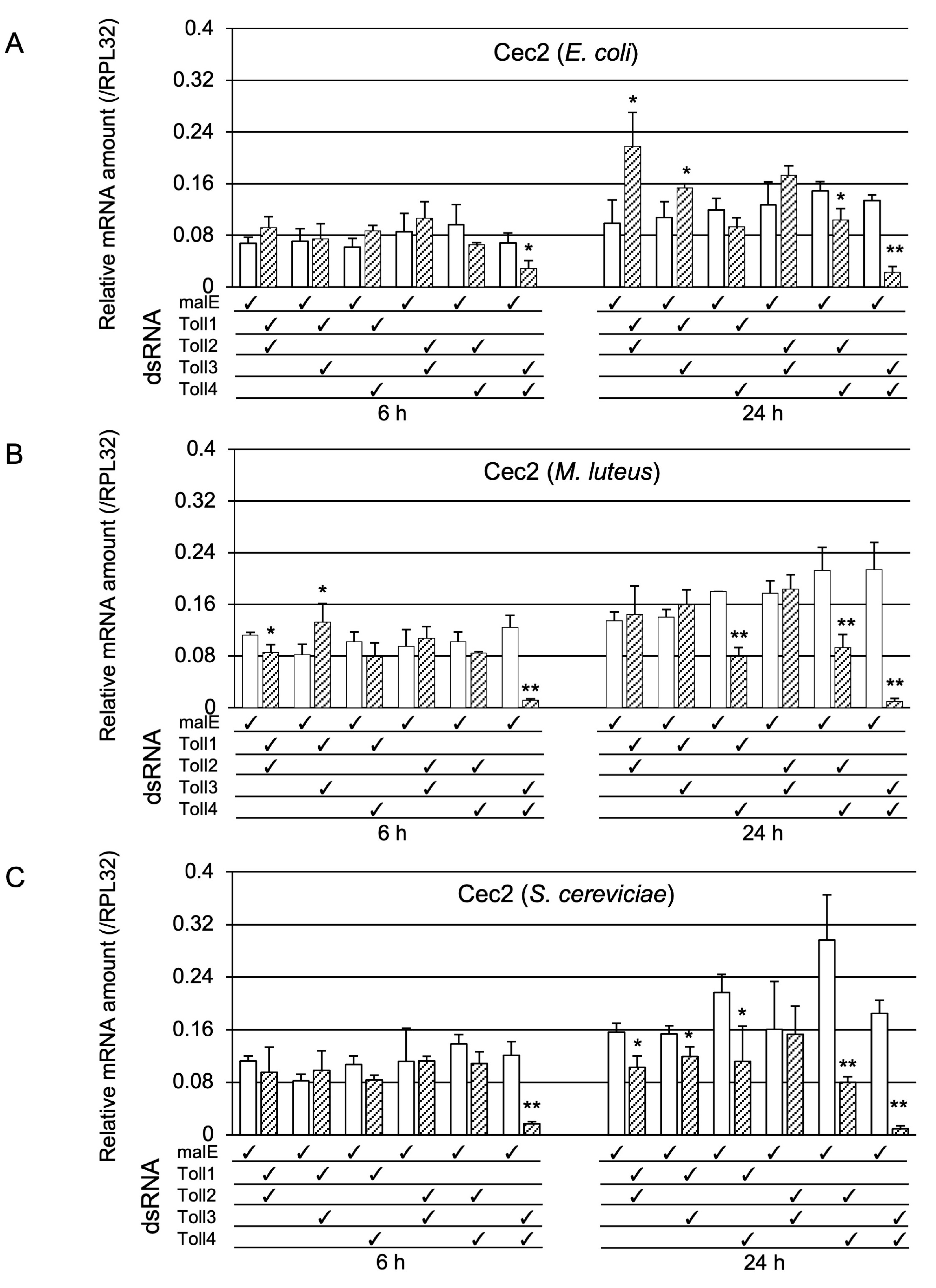 Ijms 24 01523 g005 Ijms 24 01523 g005